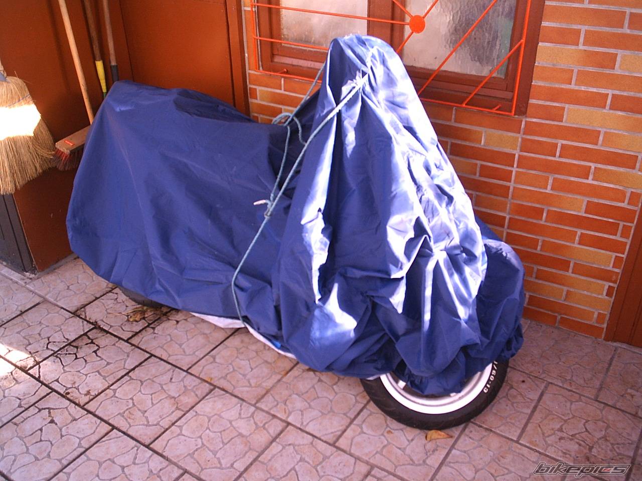 Bike Photo 248488
