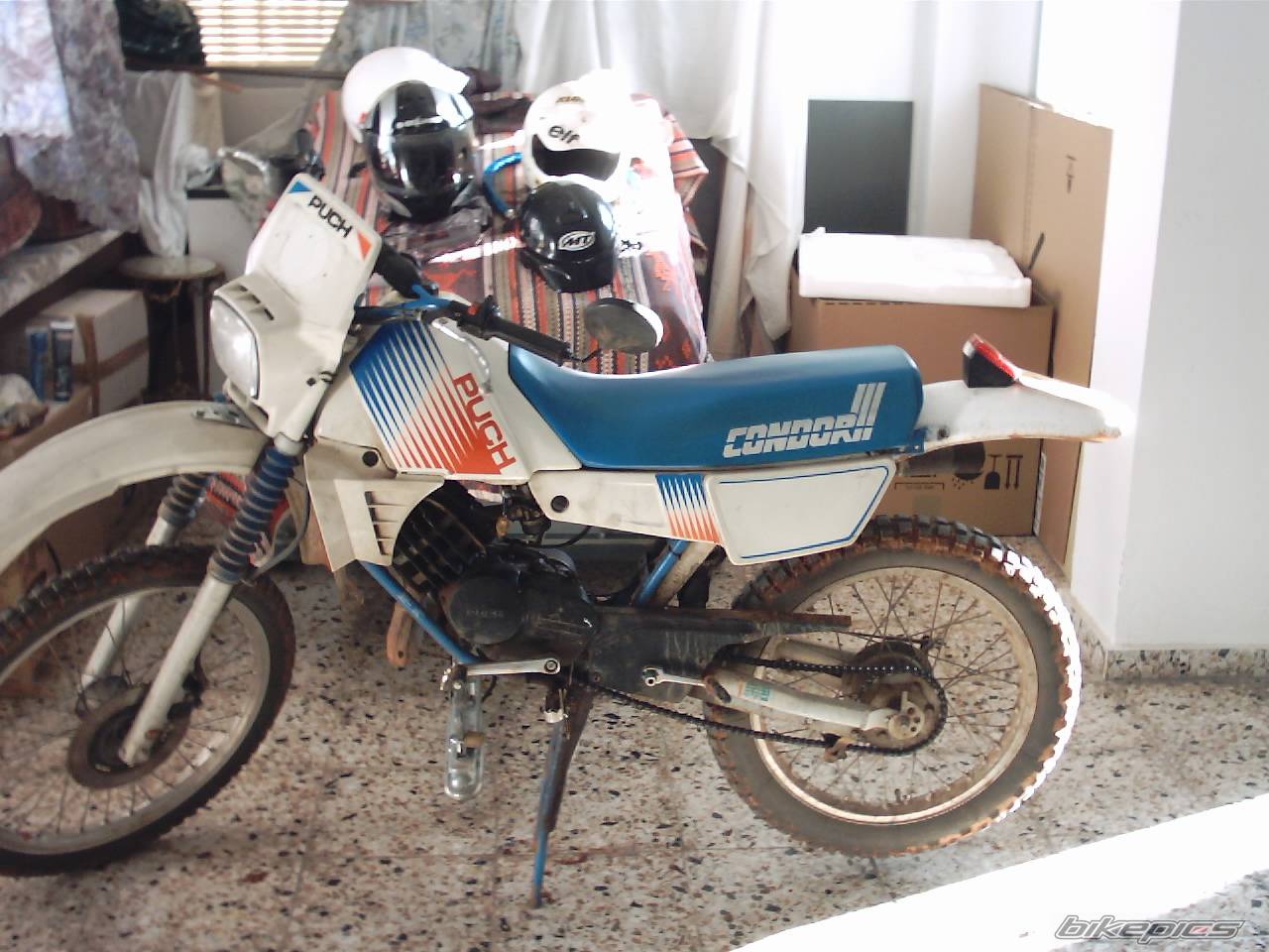 Photo 248489