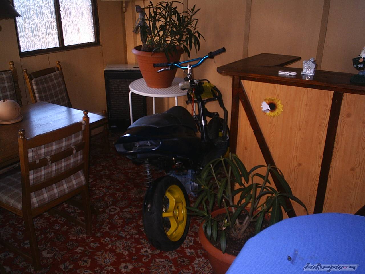 Bike Photo 248490