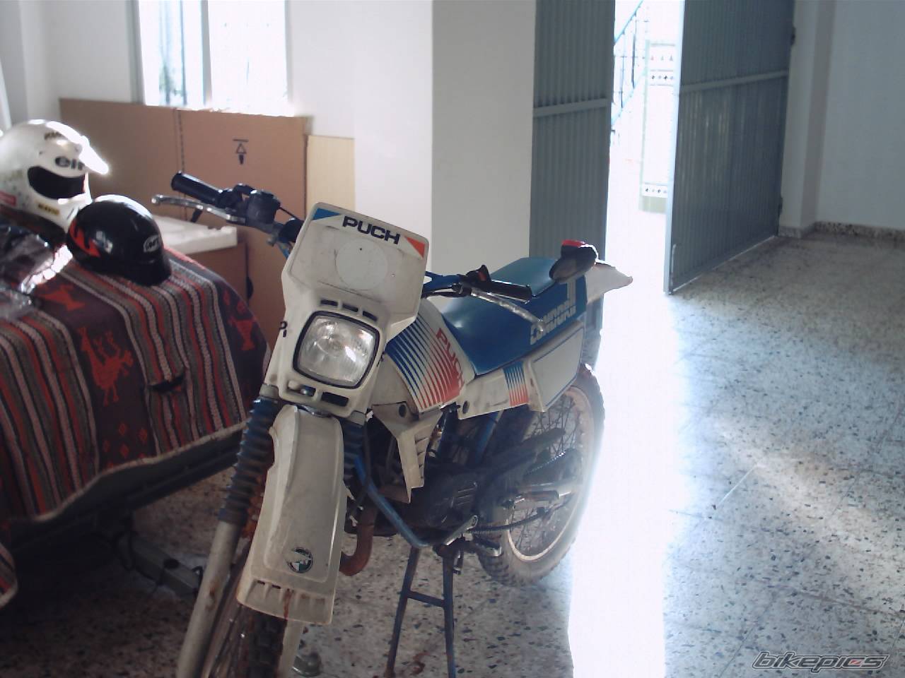 Photo 248491