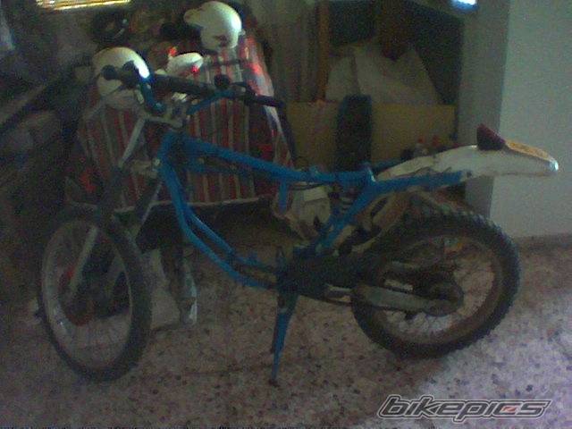 Photo 248496