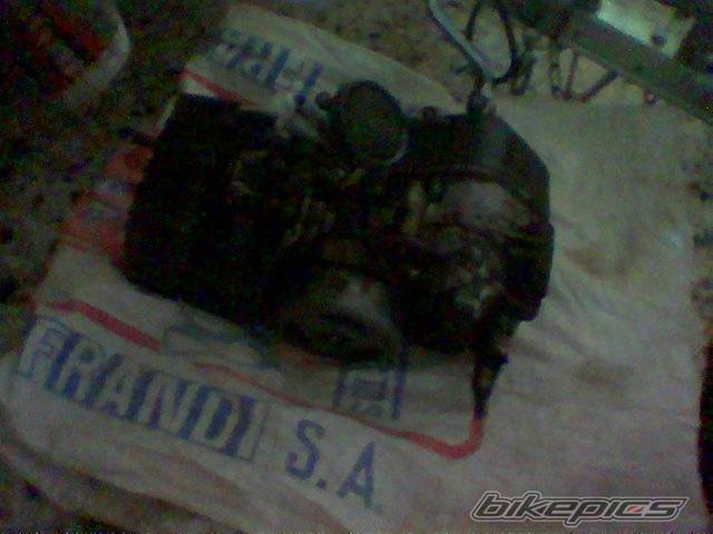 Photo 248497