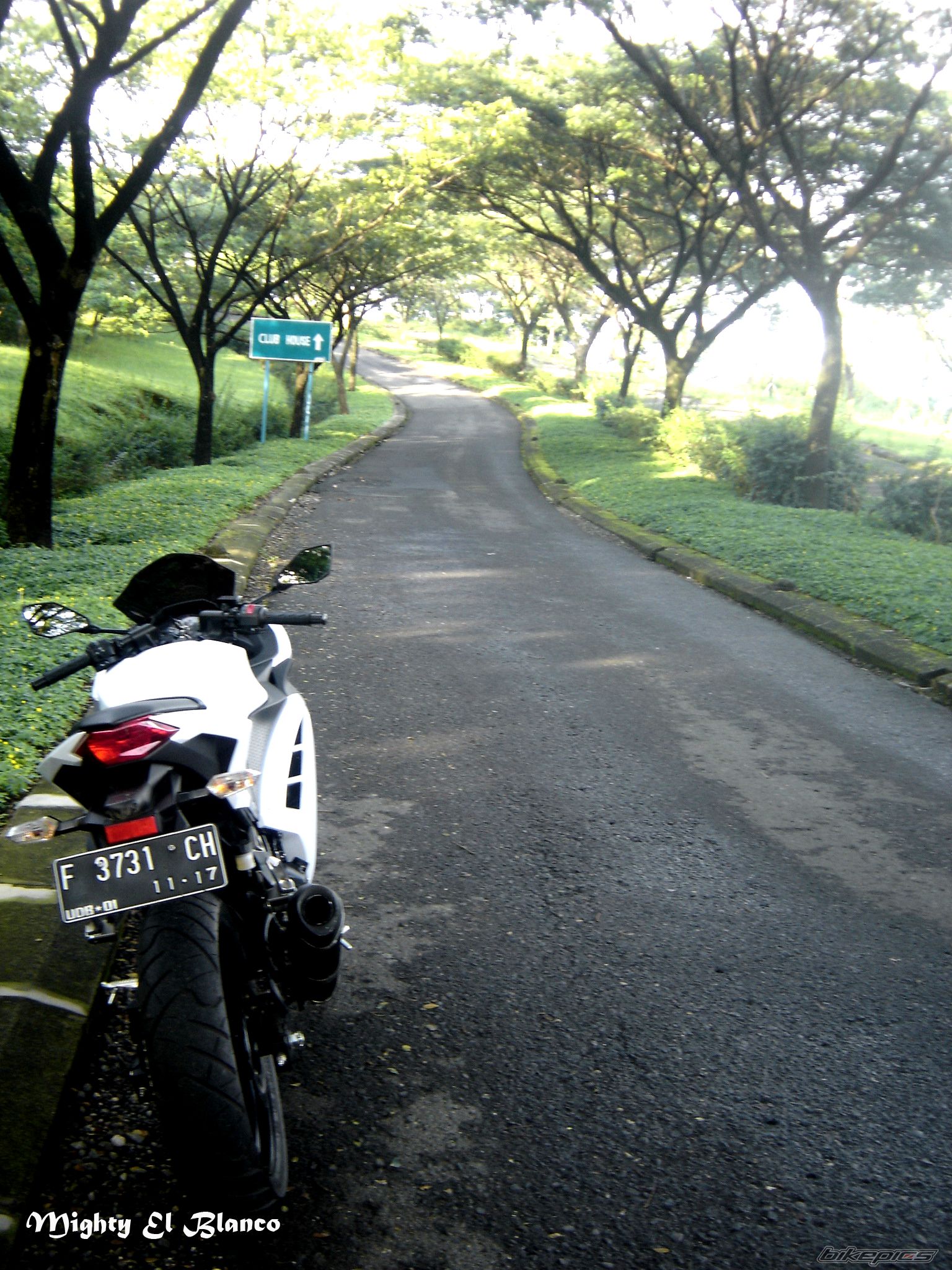 Photo 2484971