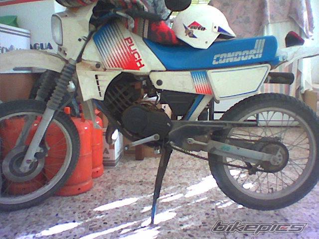 Photo 248506