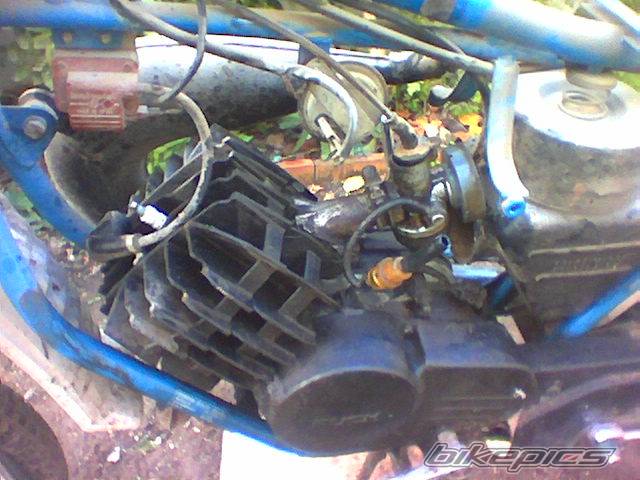 Photo 248507