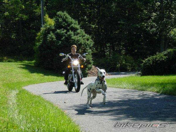 Photo 248545