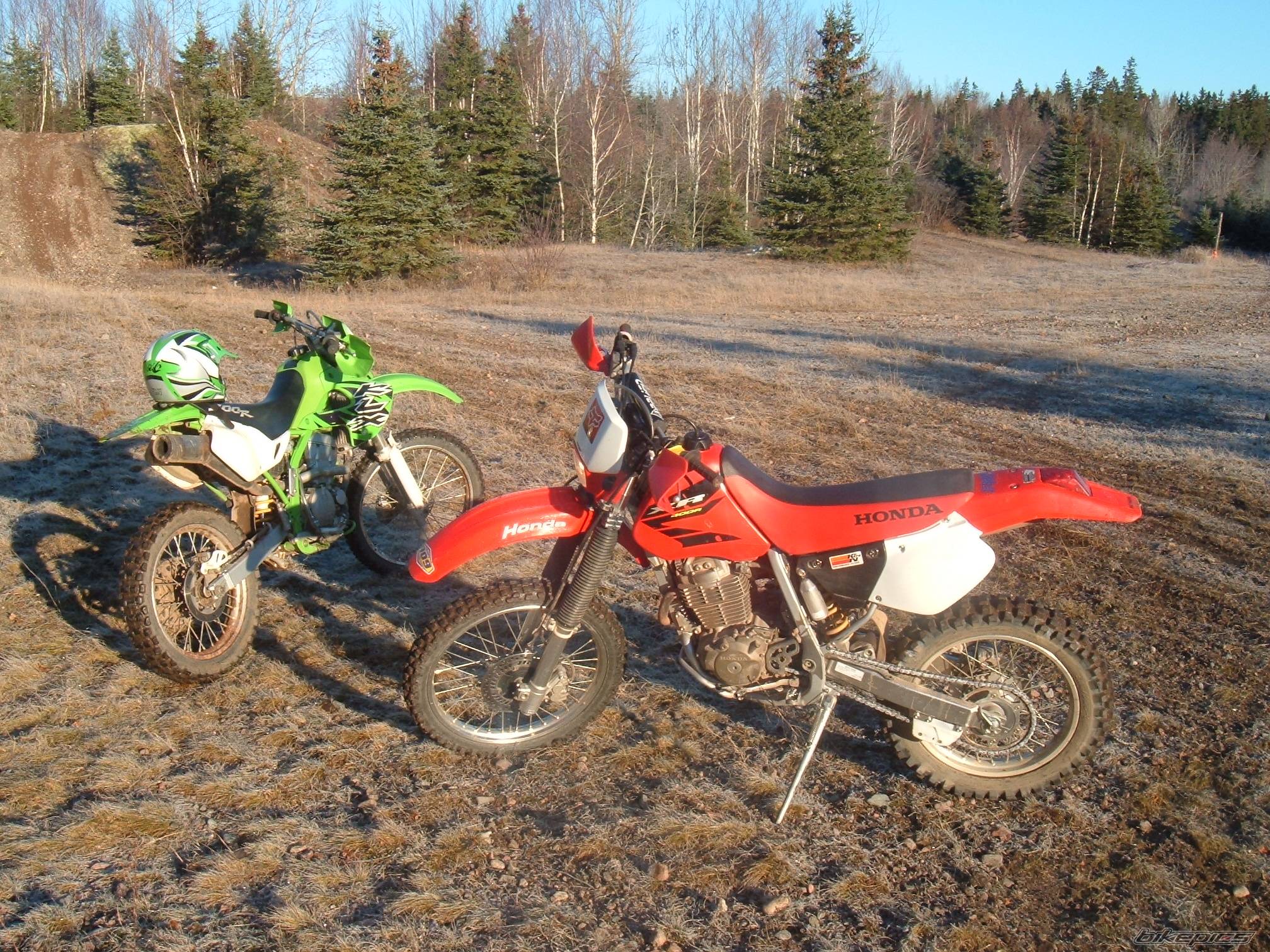Photo 248554