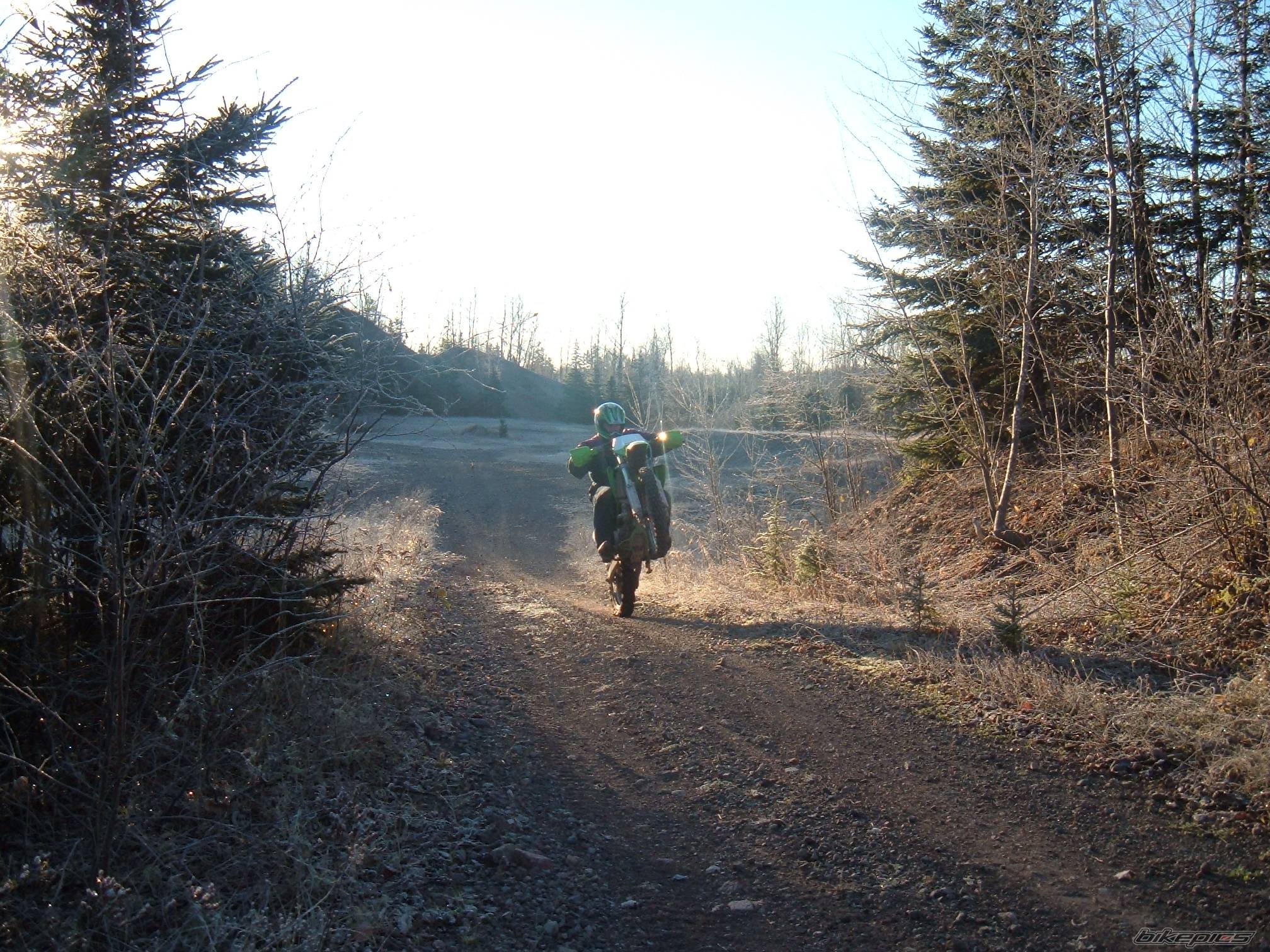 Photo 248561