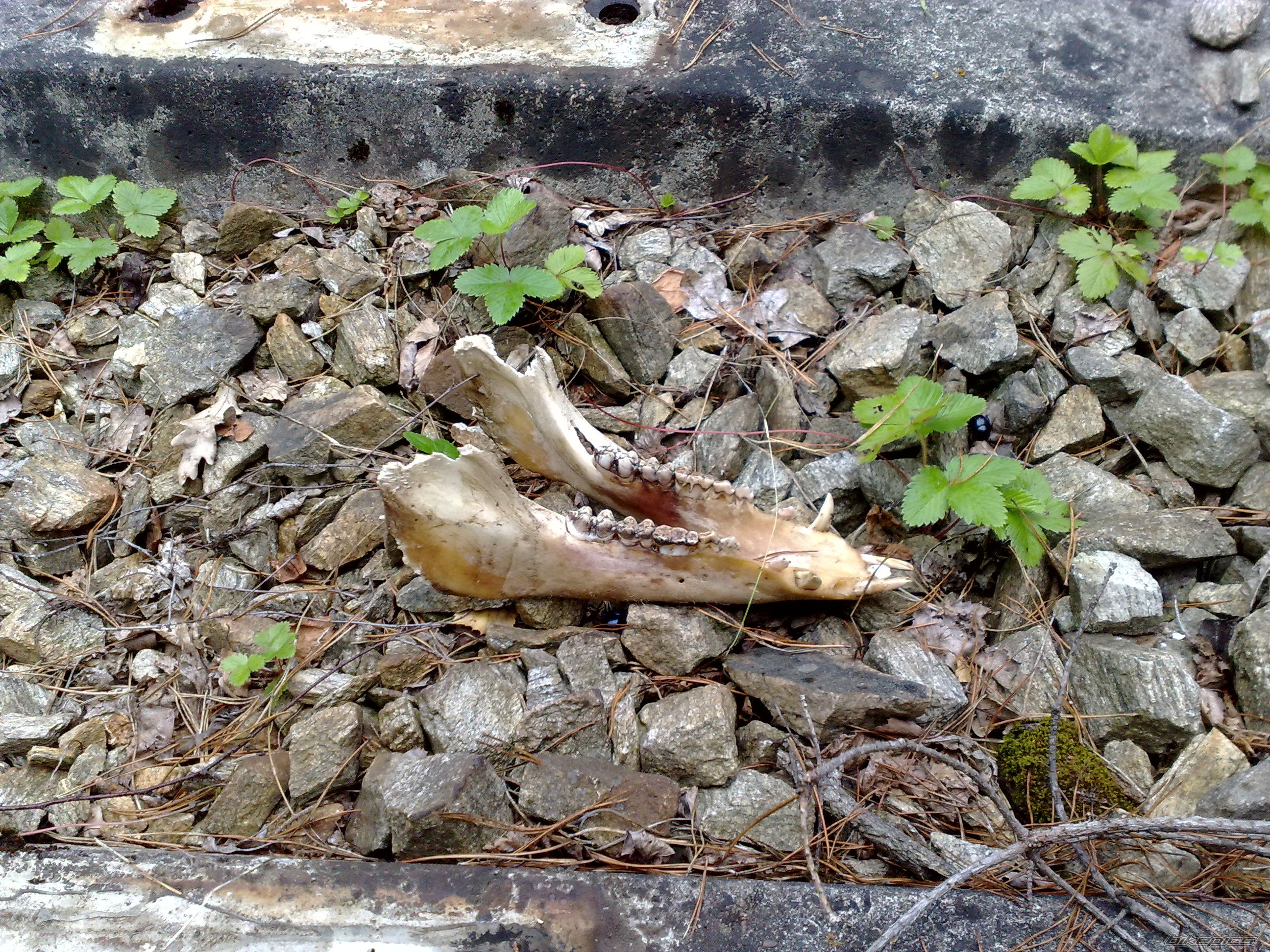 Photo 2485639