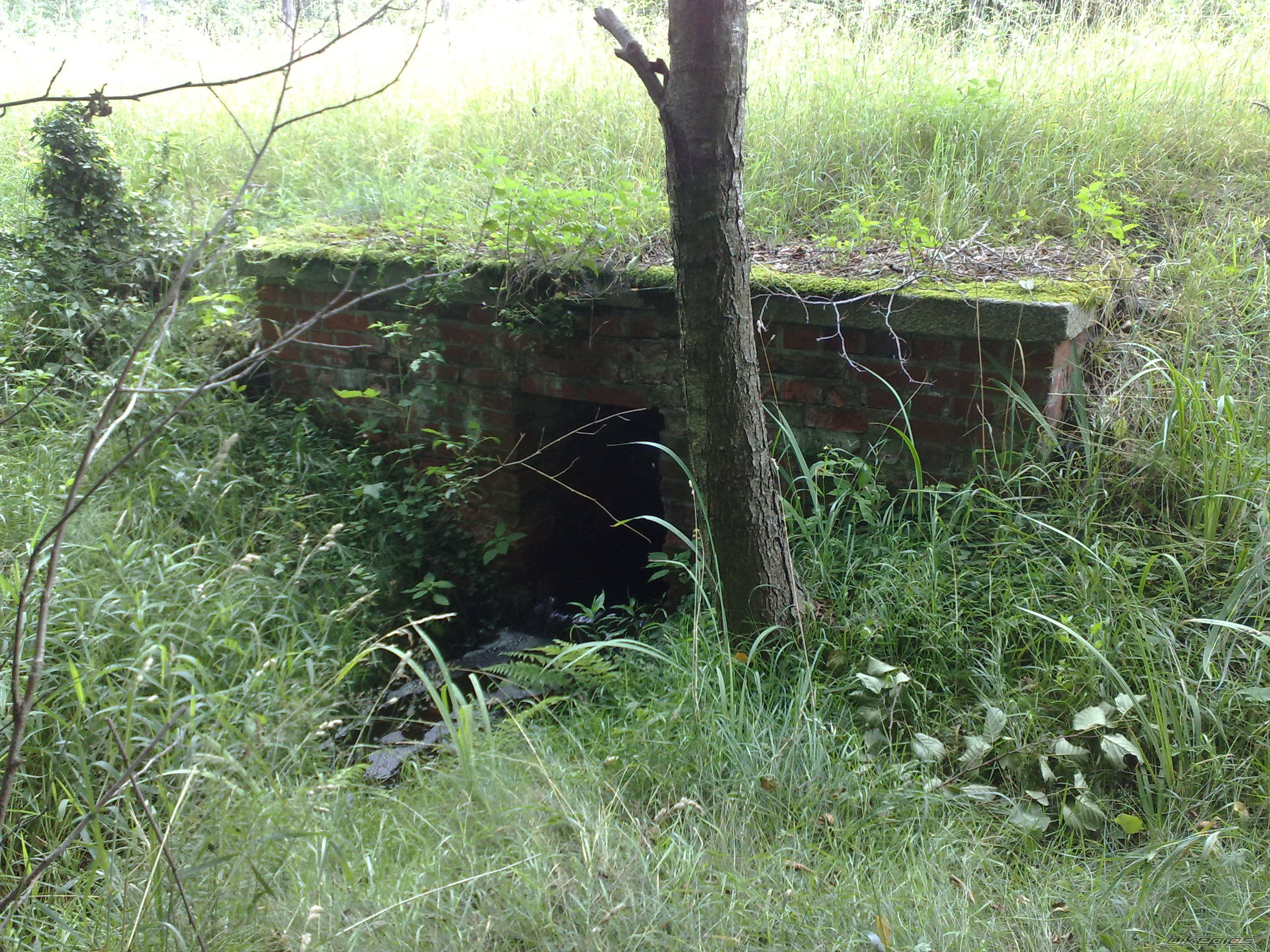 Photo 2485644