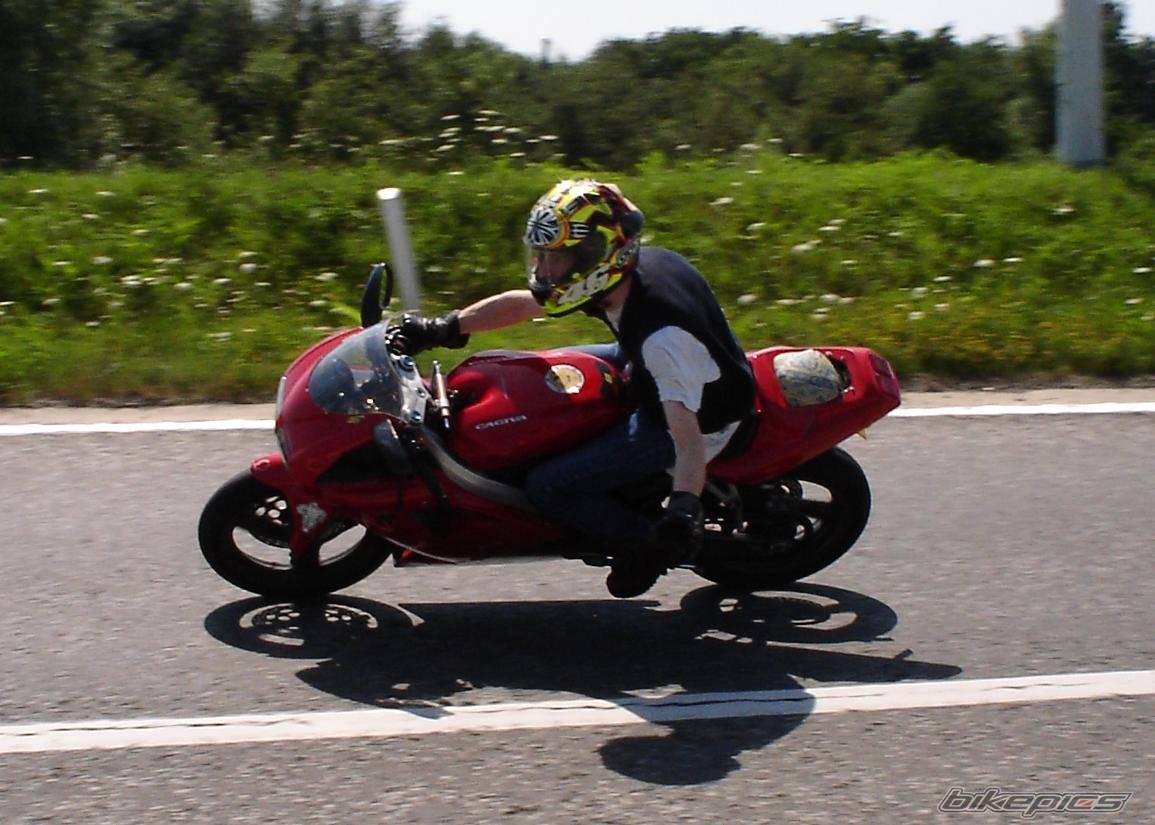 Photo 248565