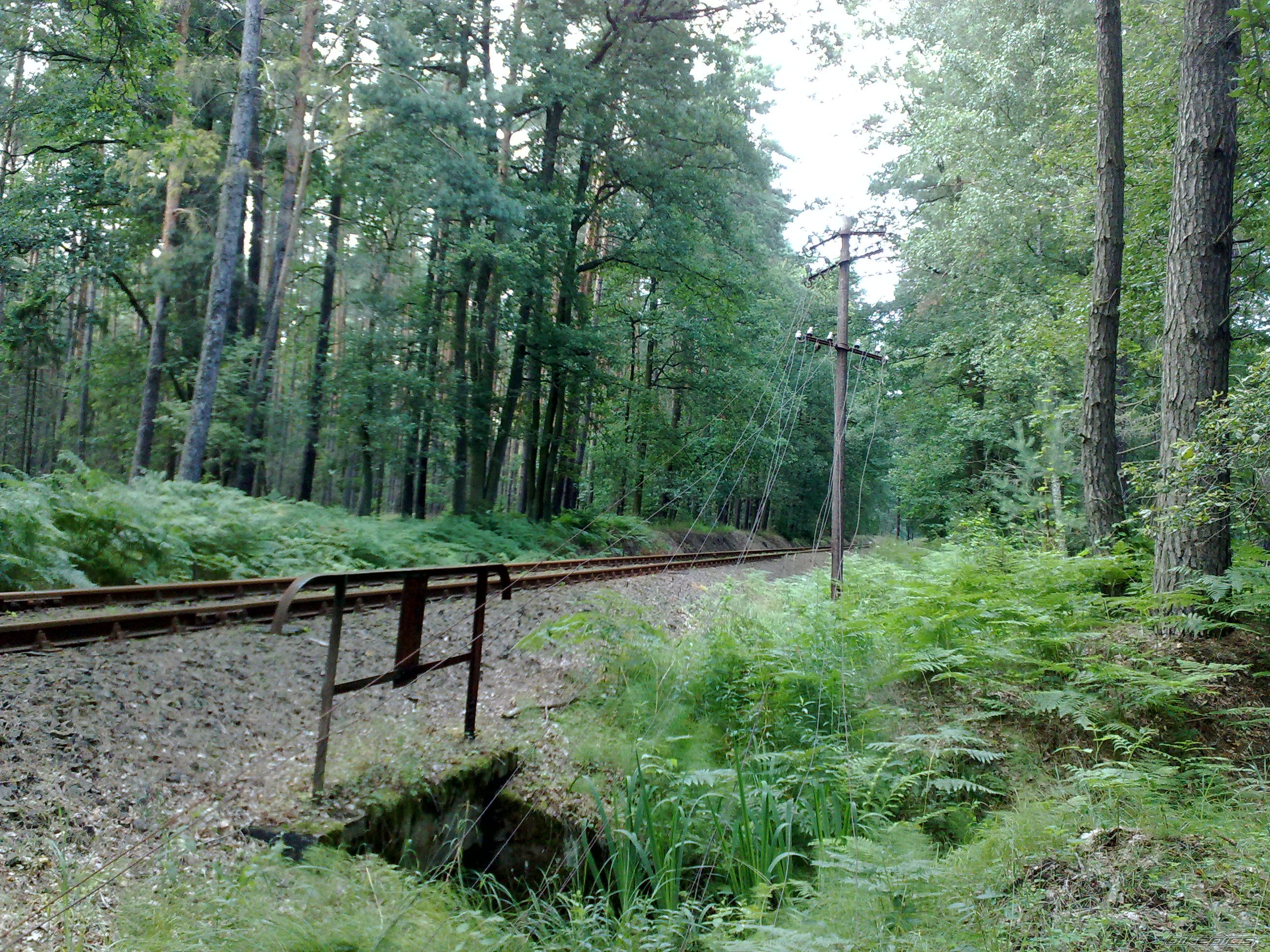 Photo 2485665