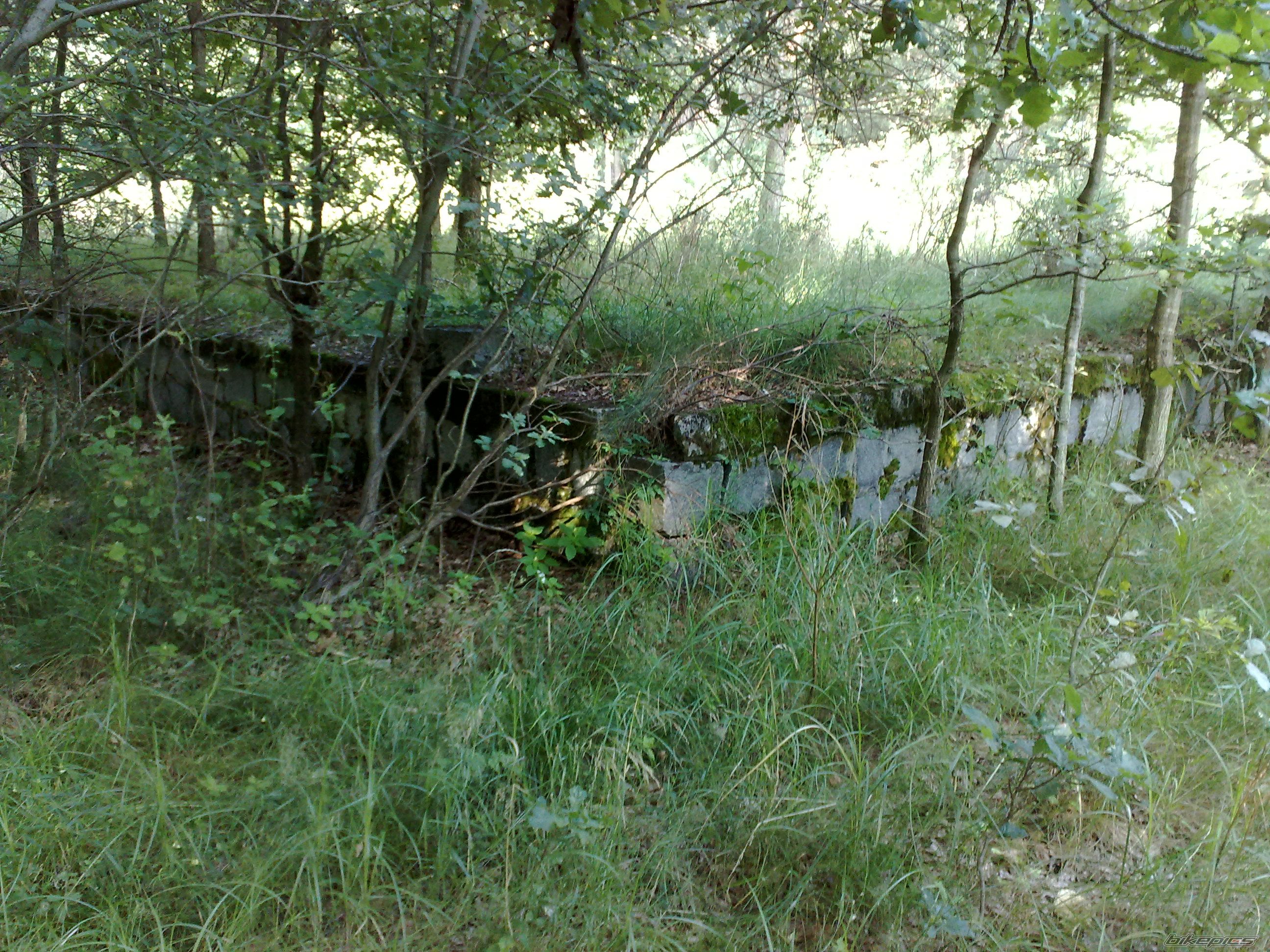 Photo 2485673