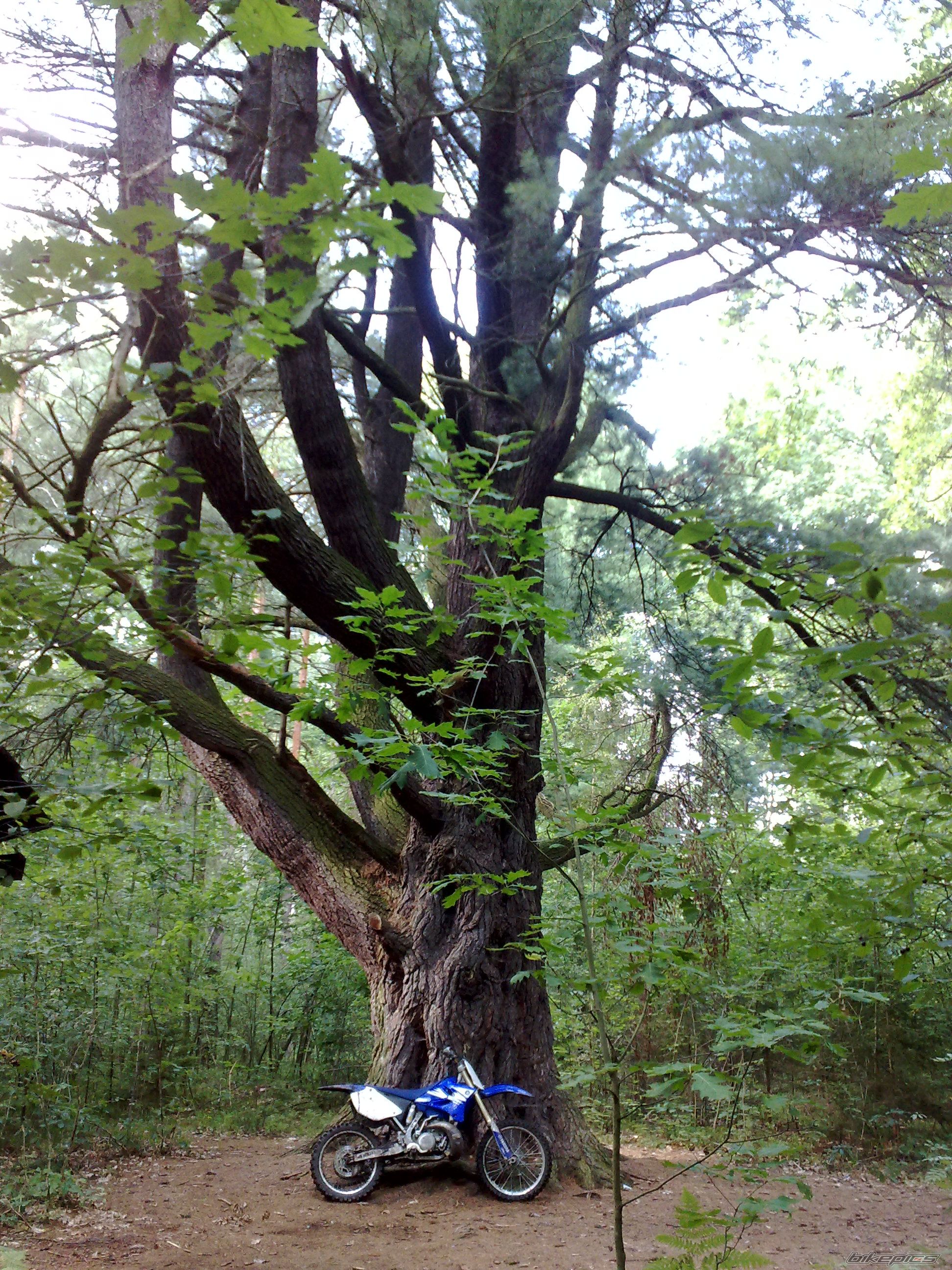 Photo 2485684