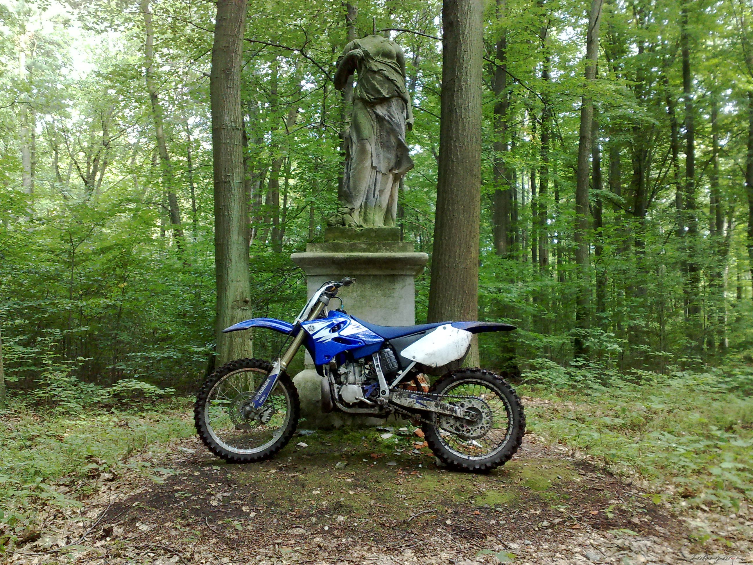 Photo 2485688