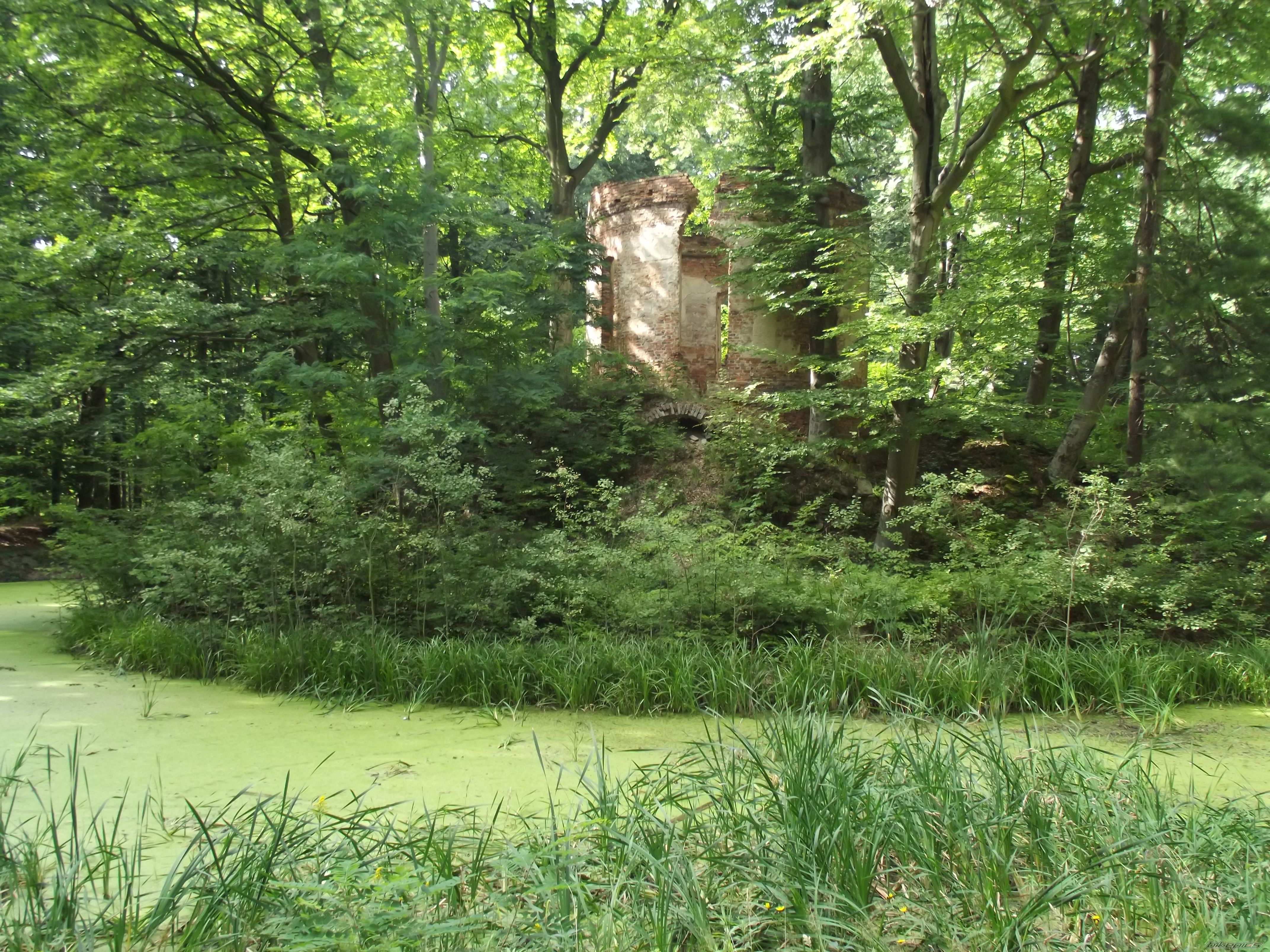 Photo 2485697