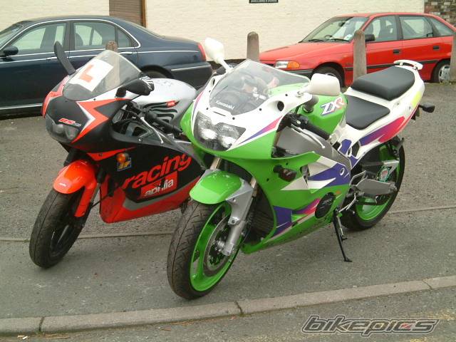 Photo 248571