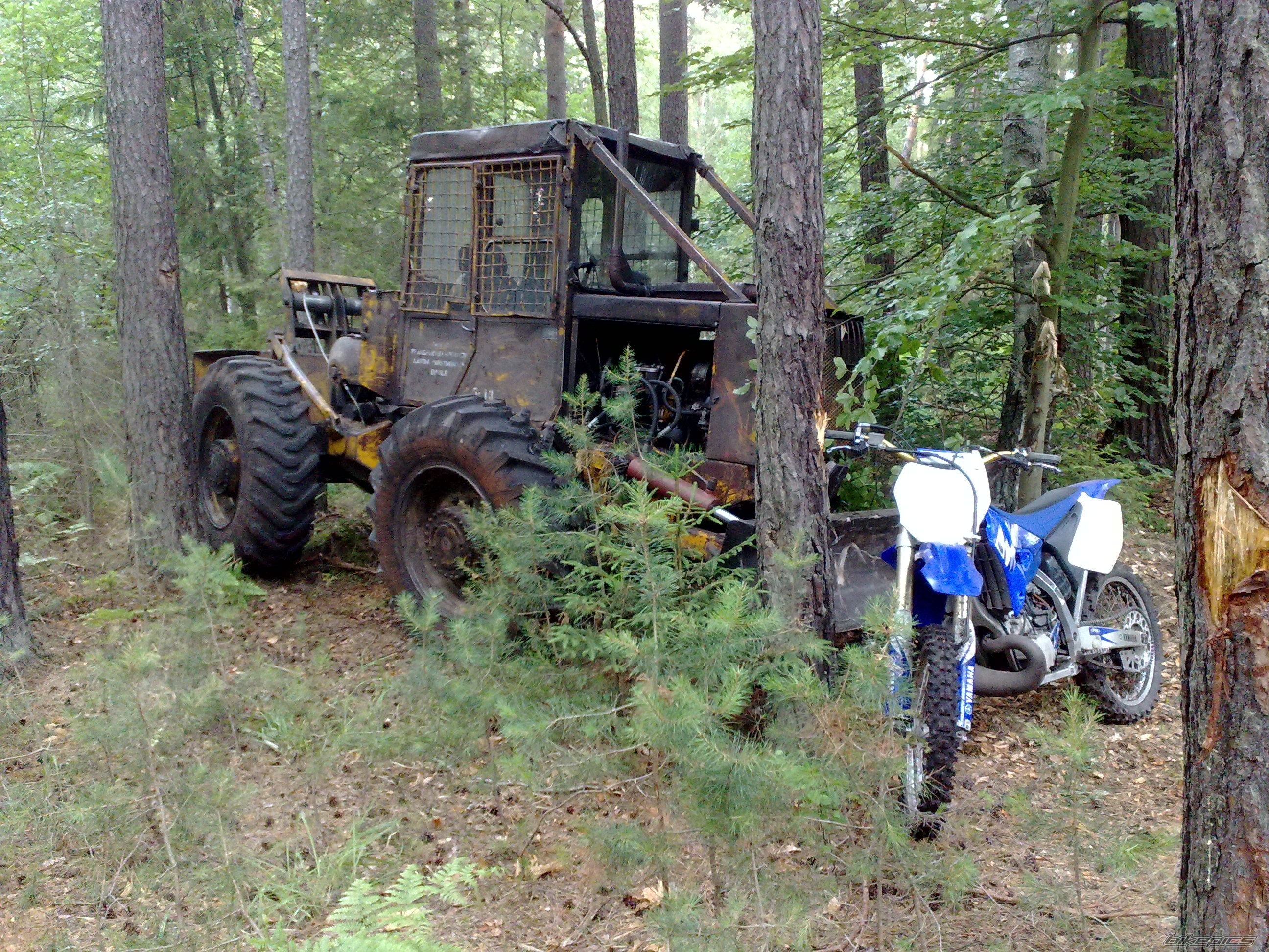 Photo 2485730