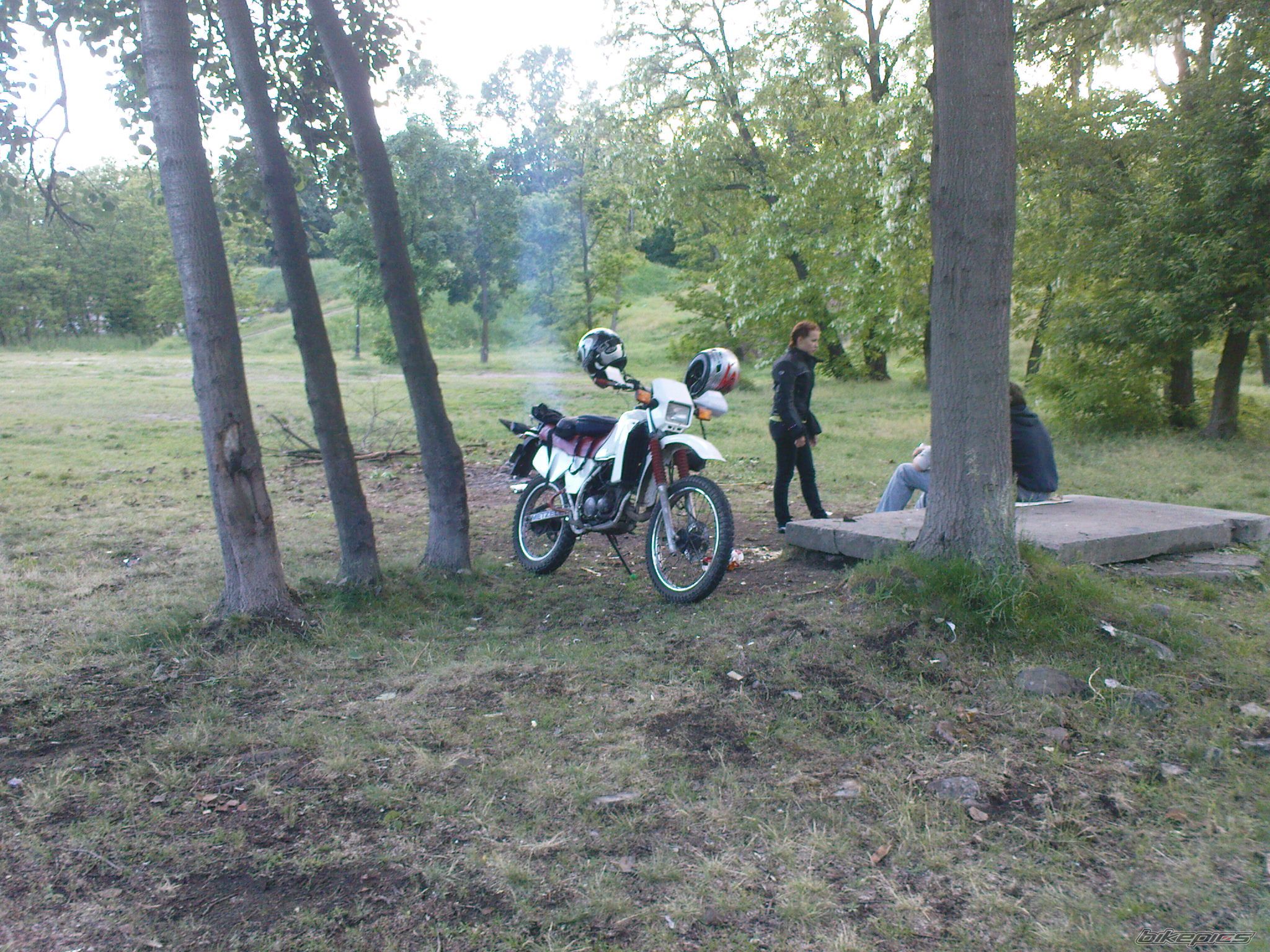 Photo 2485792