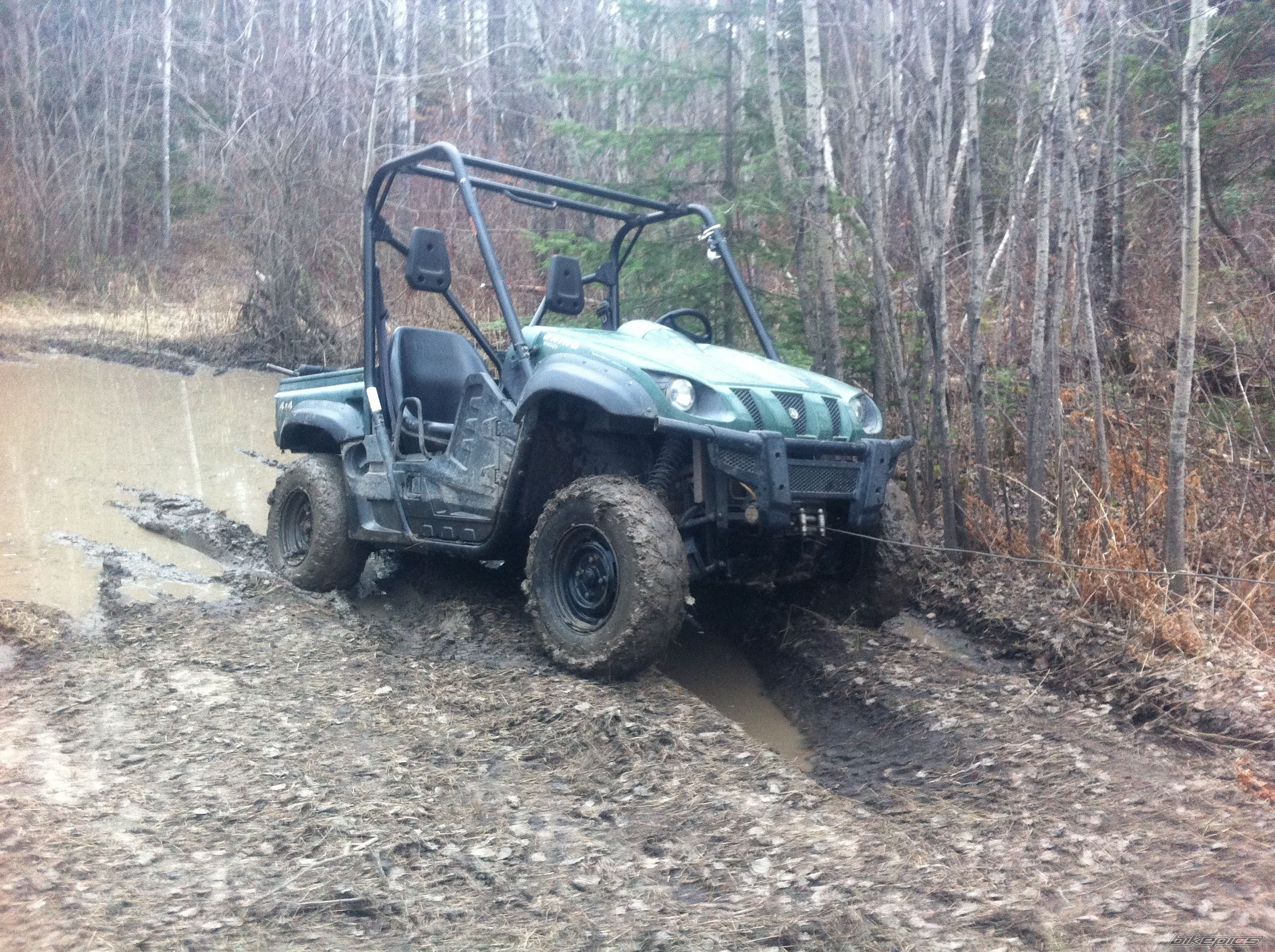 Photo 2485798