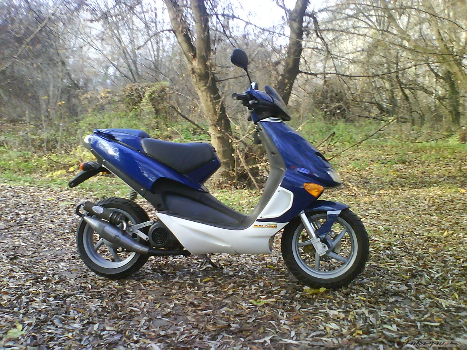 Photo 2486103