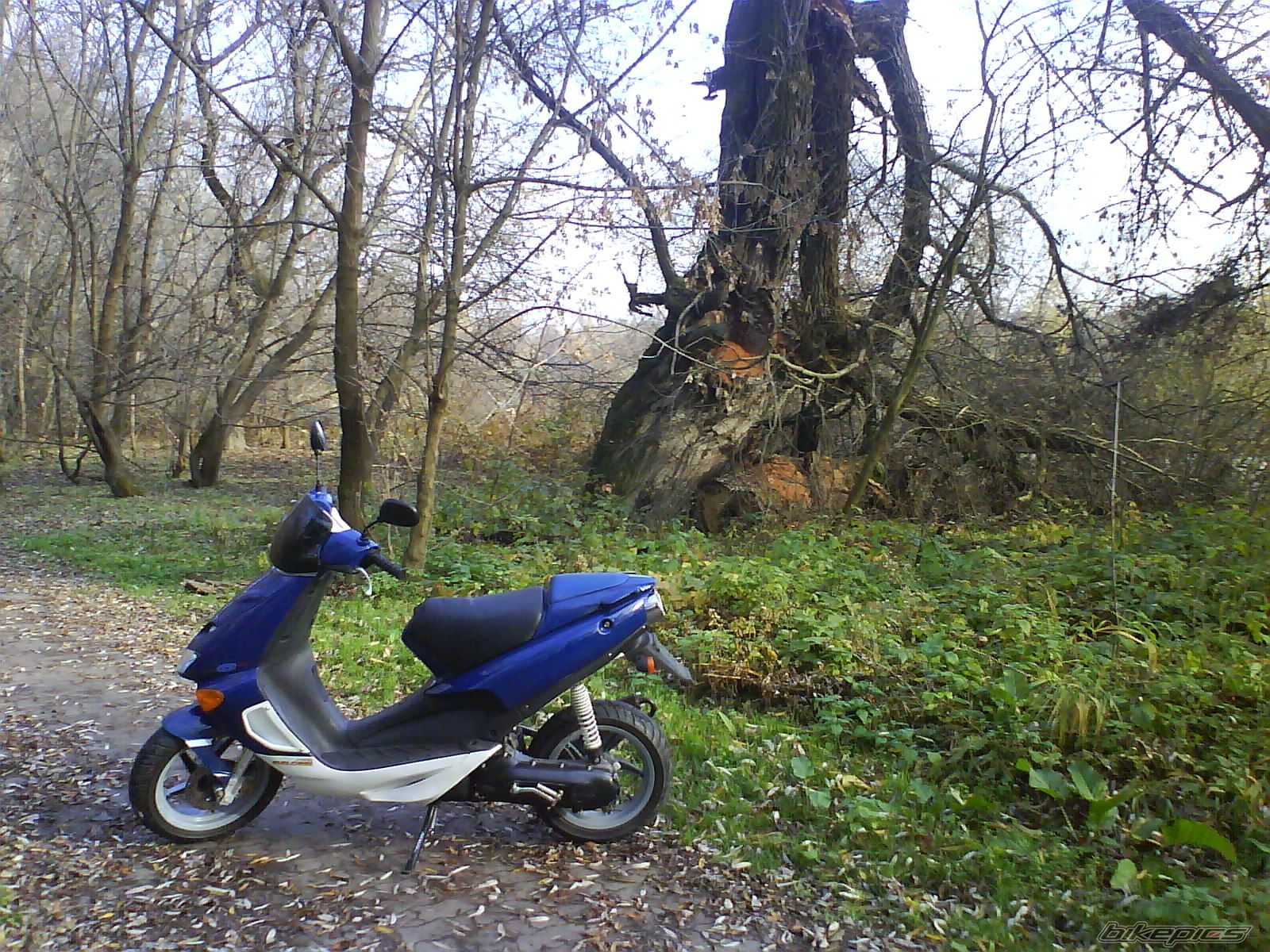 Photo 2486110