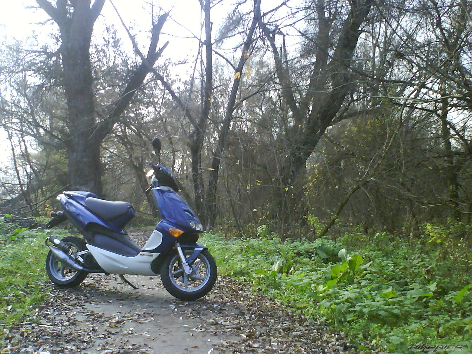 Photo 2486115