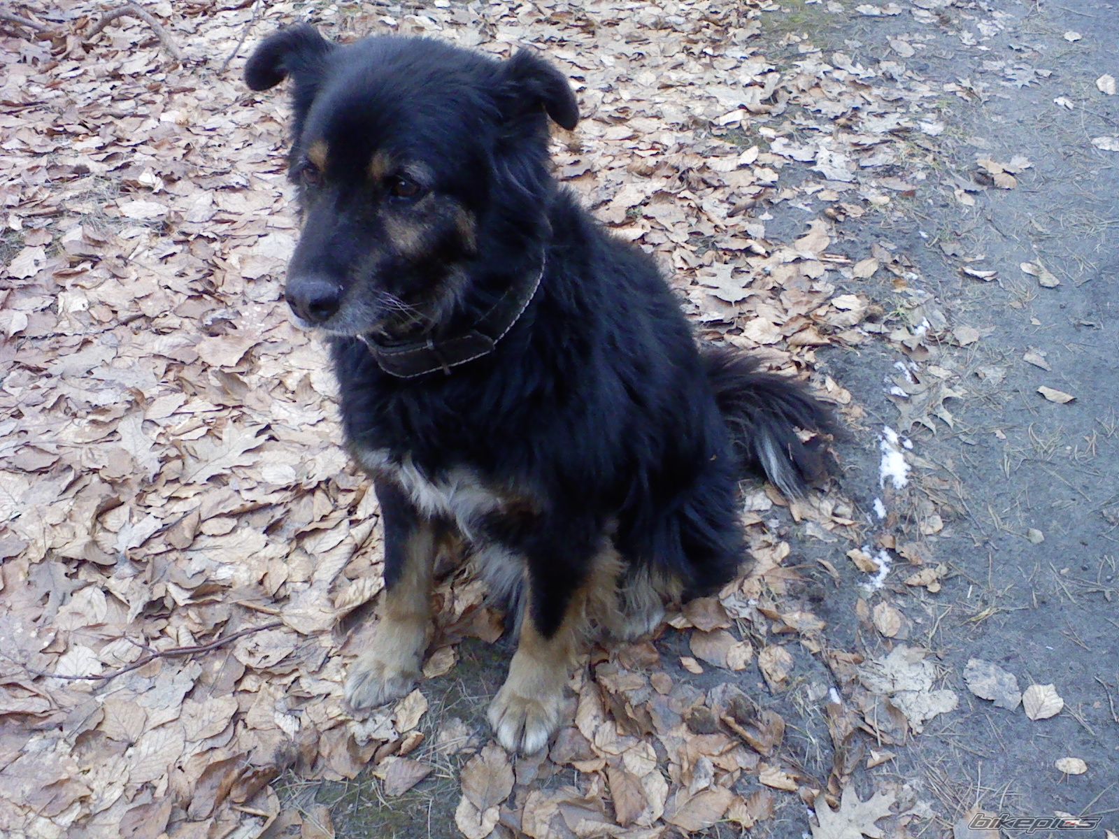 Photo 2486184