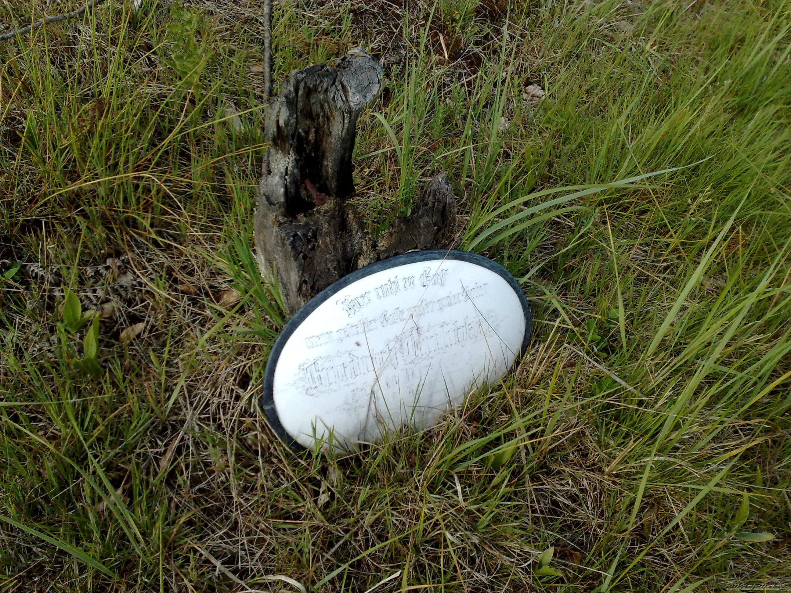Photo 2486246