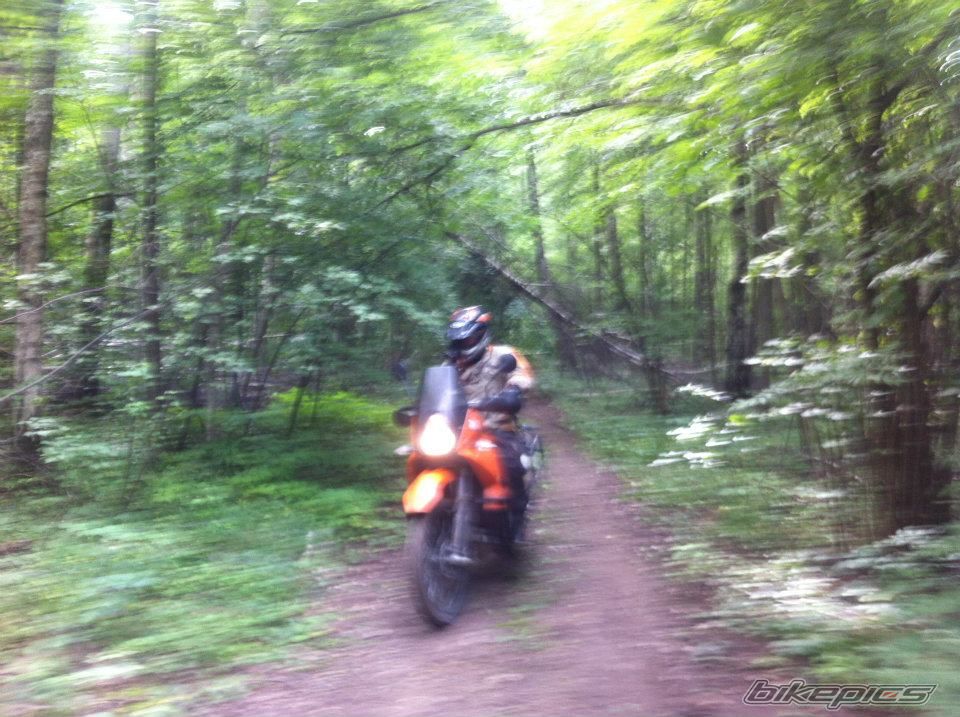 Photo 2486337
