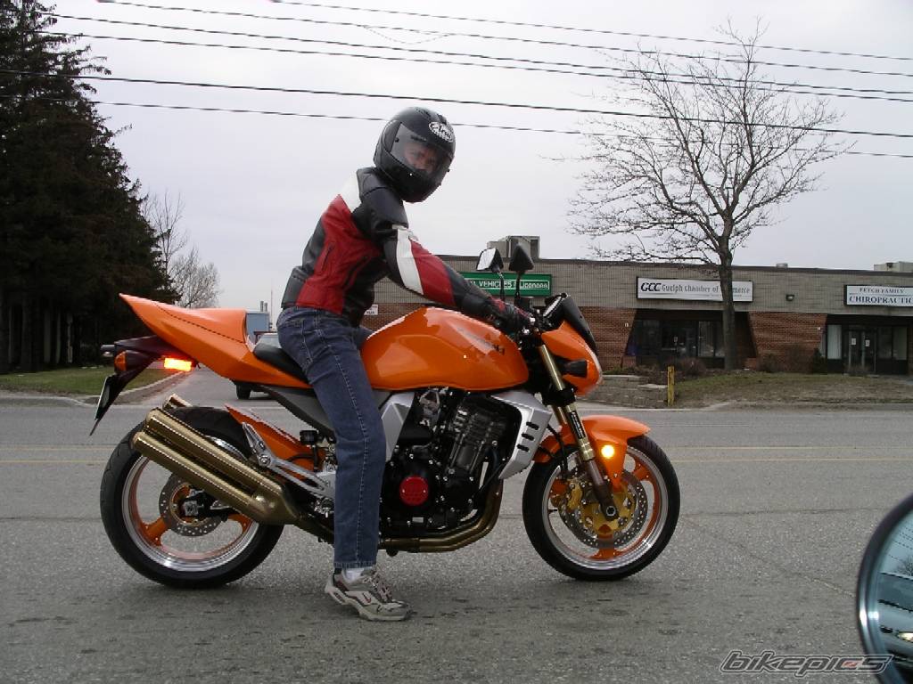 Photo 248635