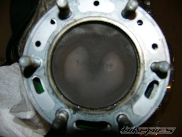 Photo 248643