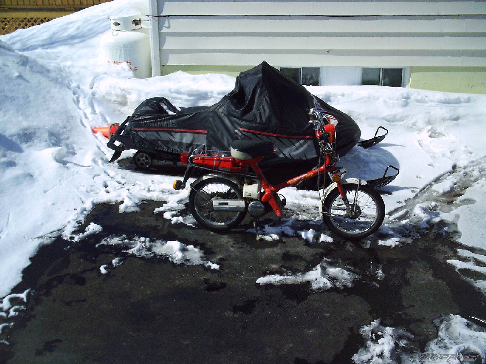 Photo 248656