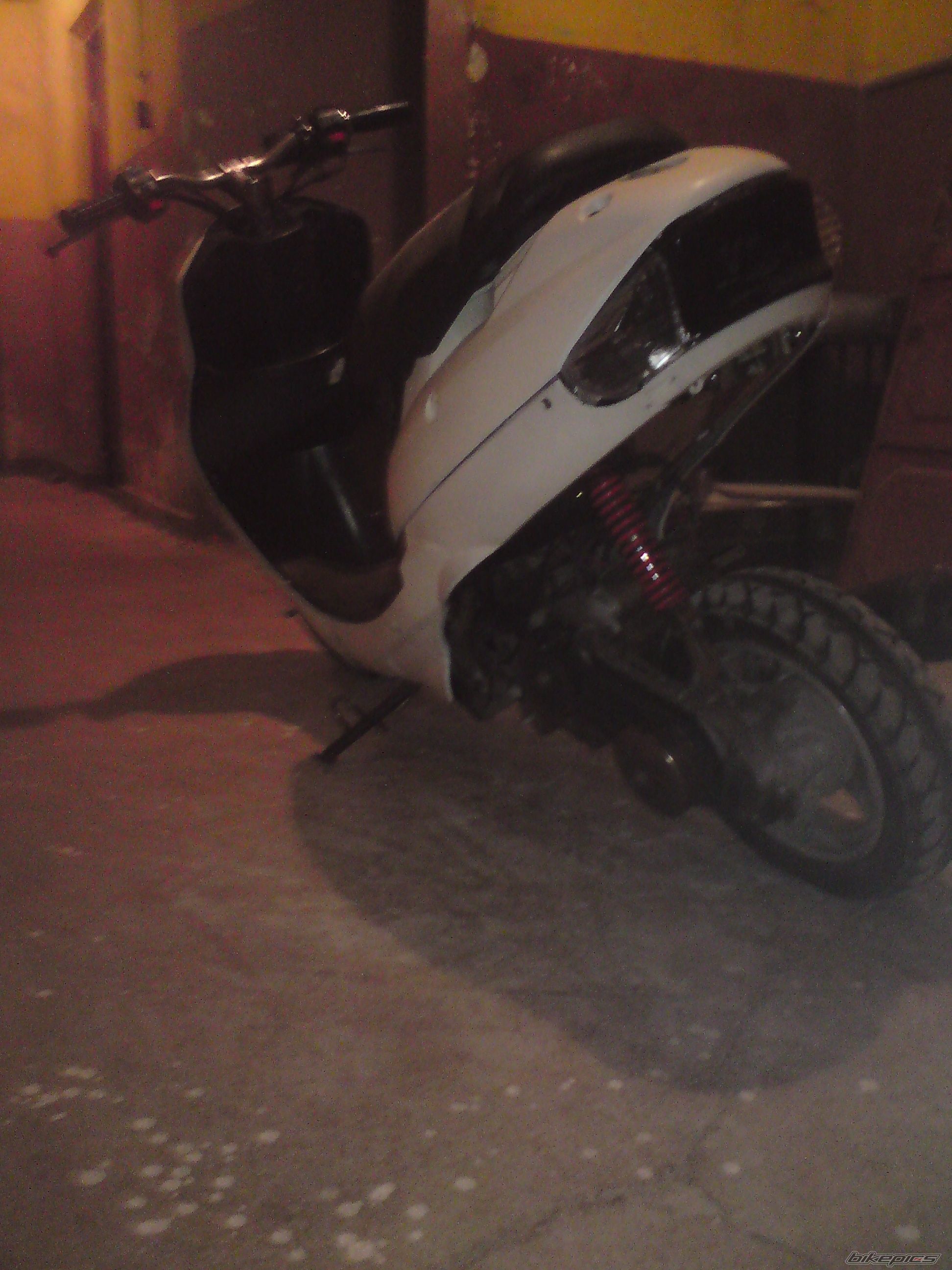 Photo 2486560