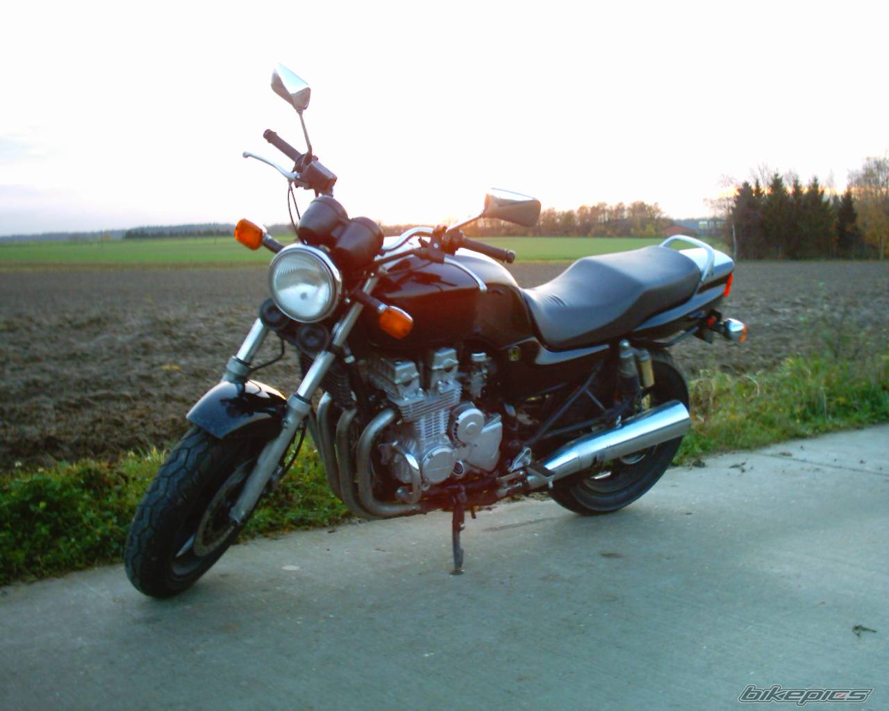 Photo 248660