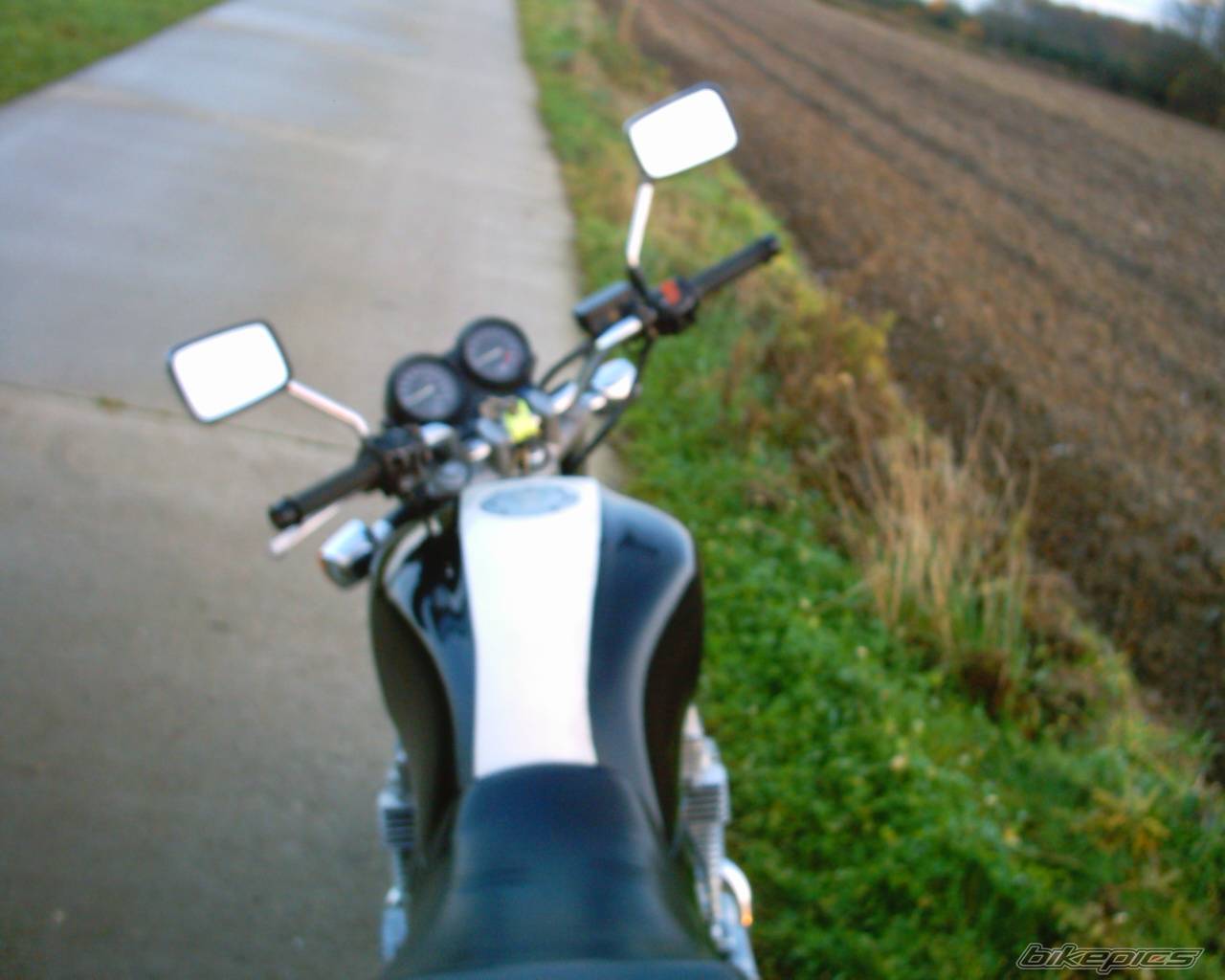 Photo 248661