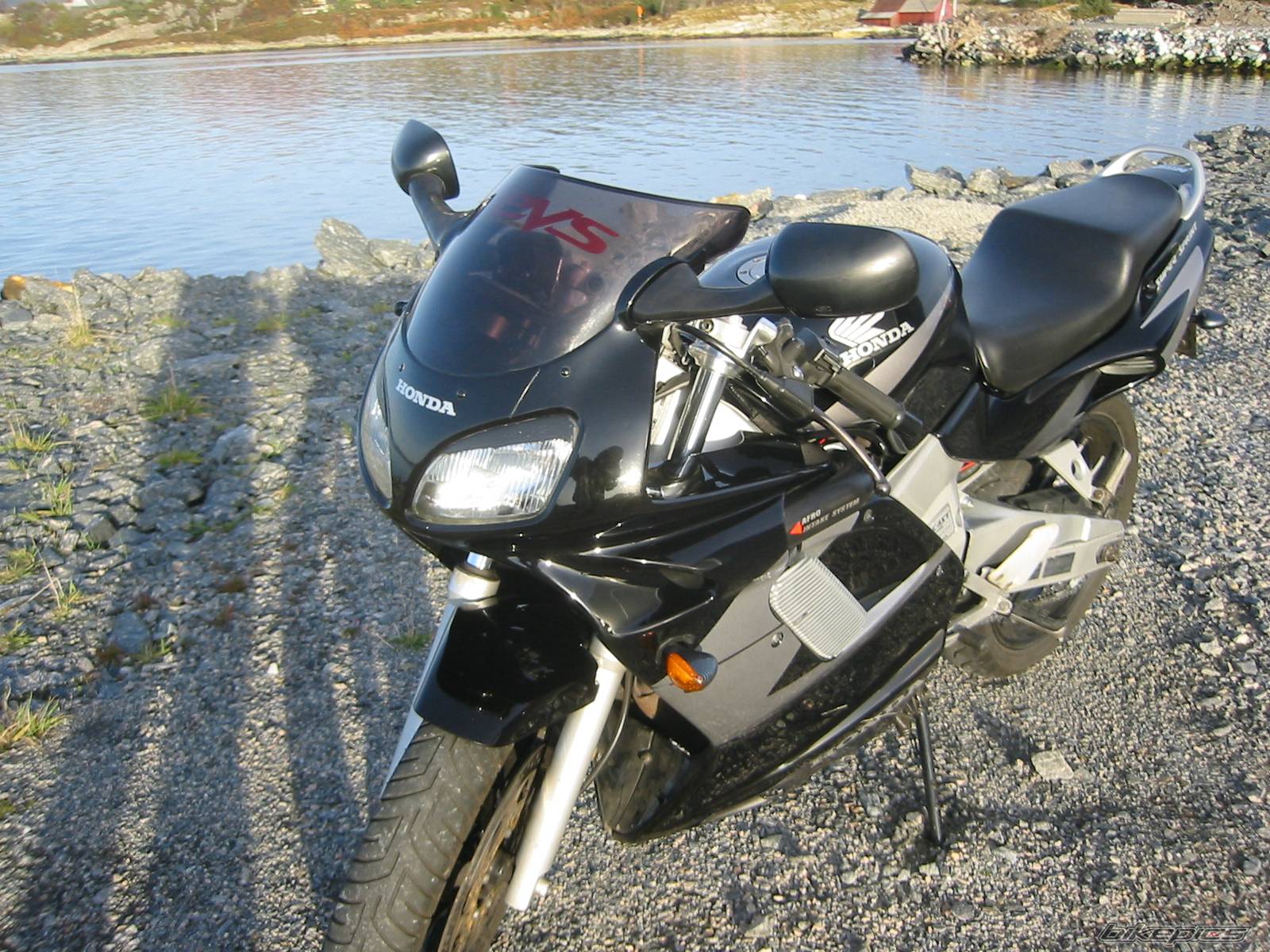 Photo 248678