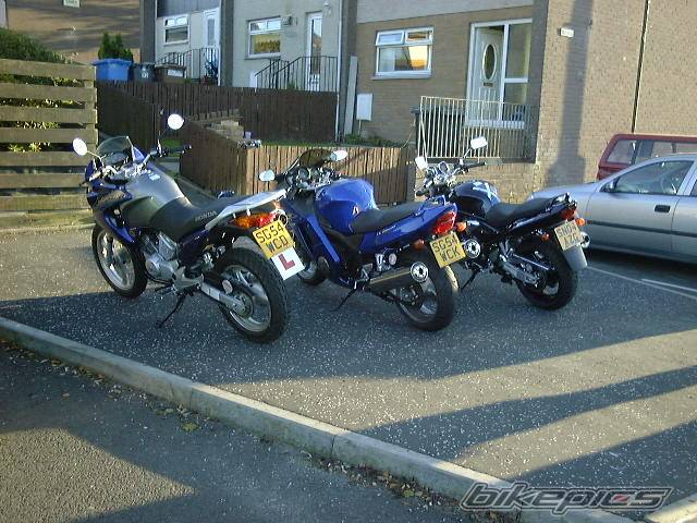 Photo 248679