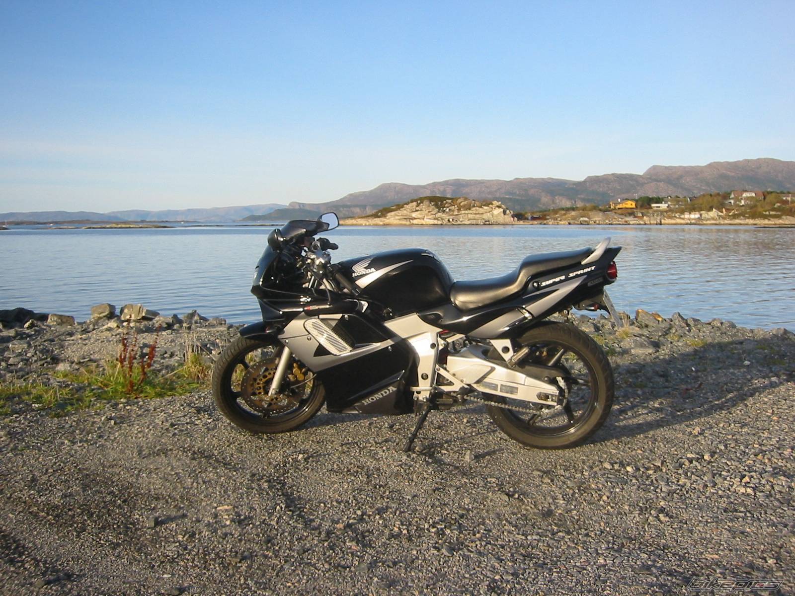 Photo 248680