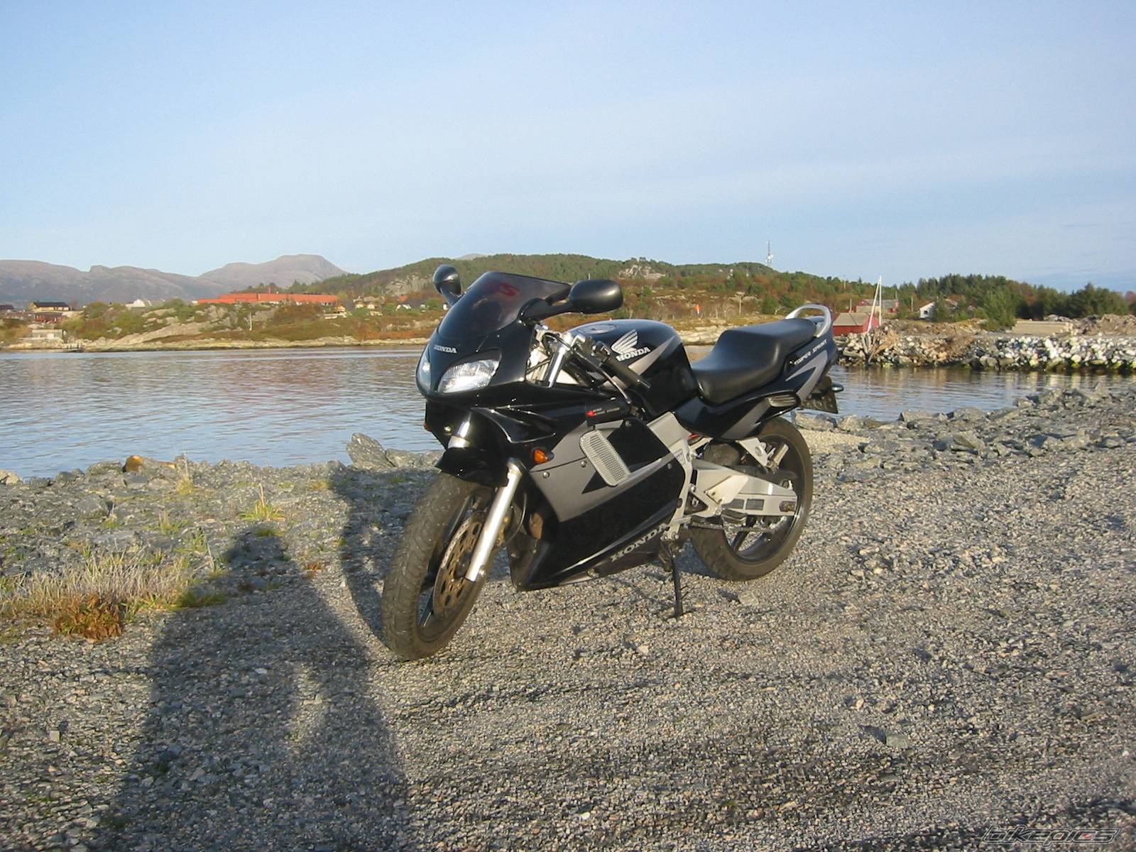 Photo 248681