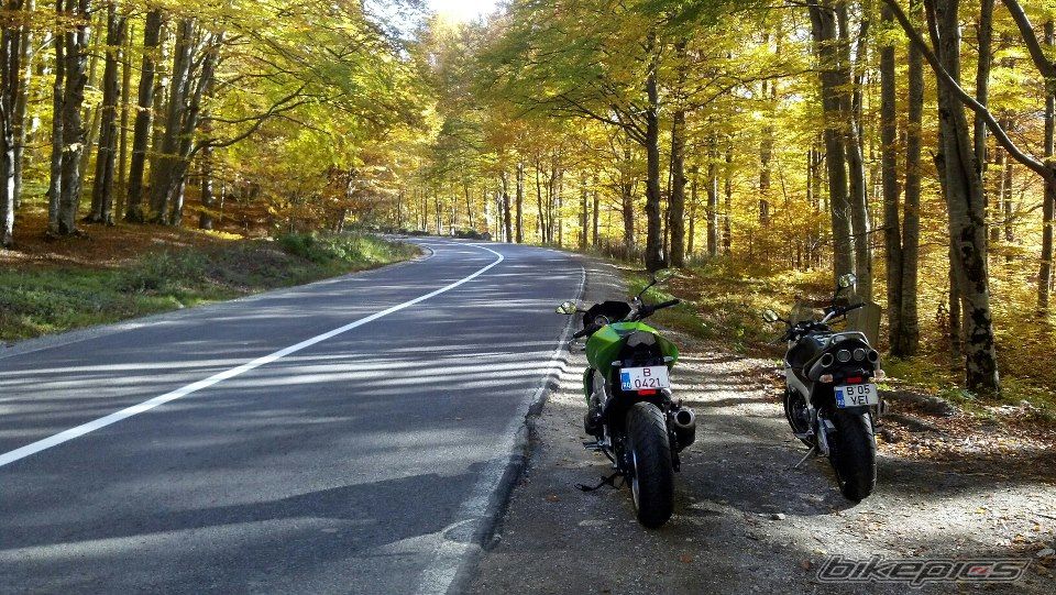 Photo 2486936