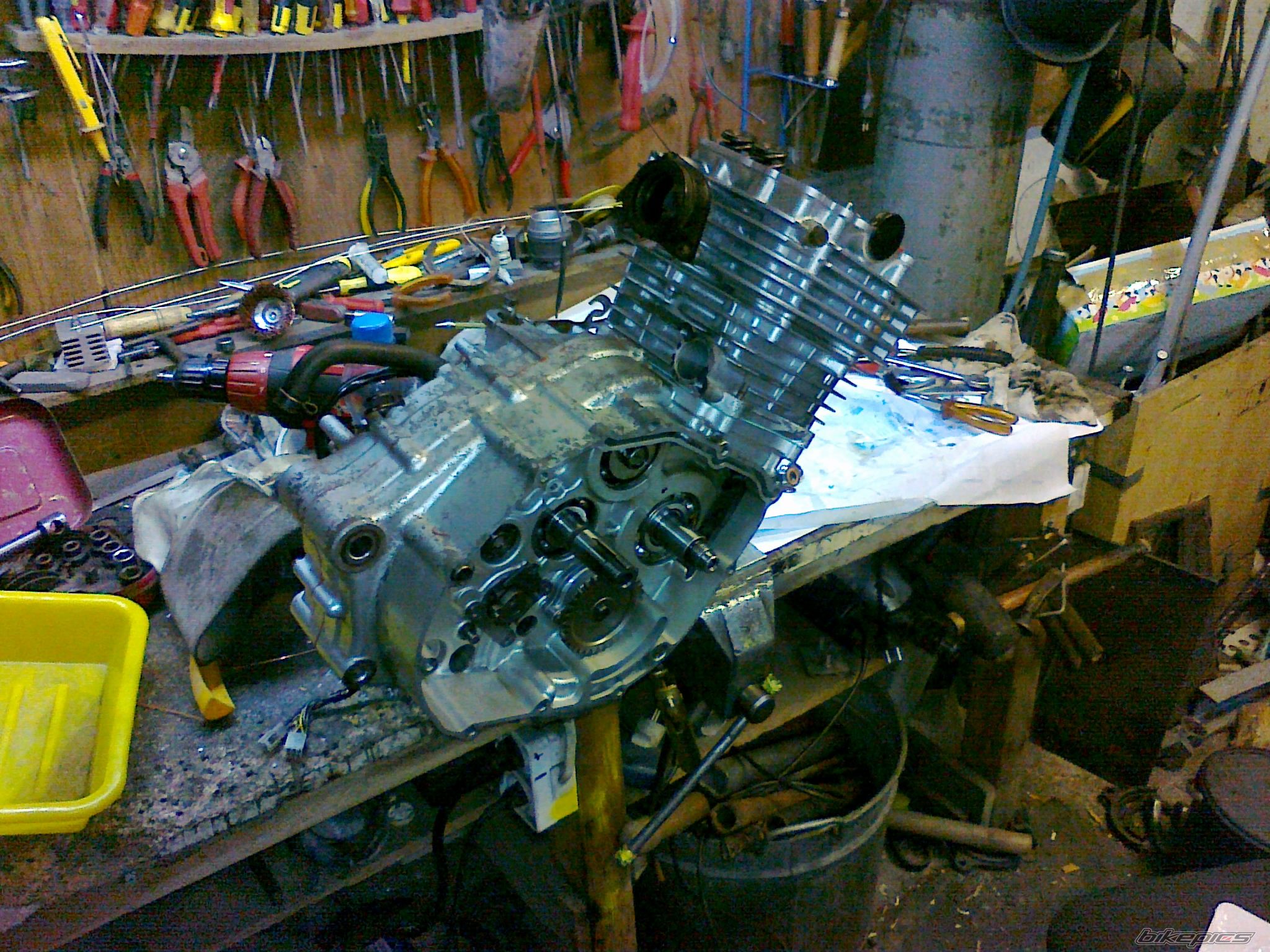 Photo 2487065