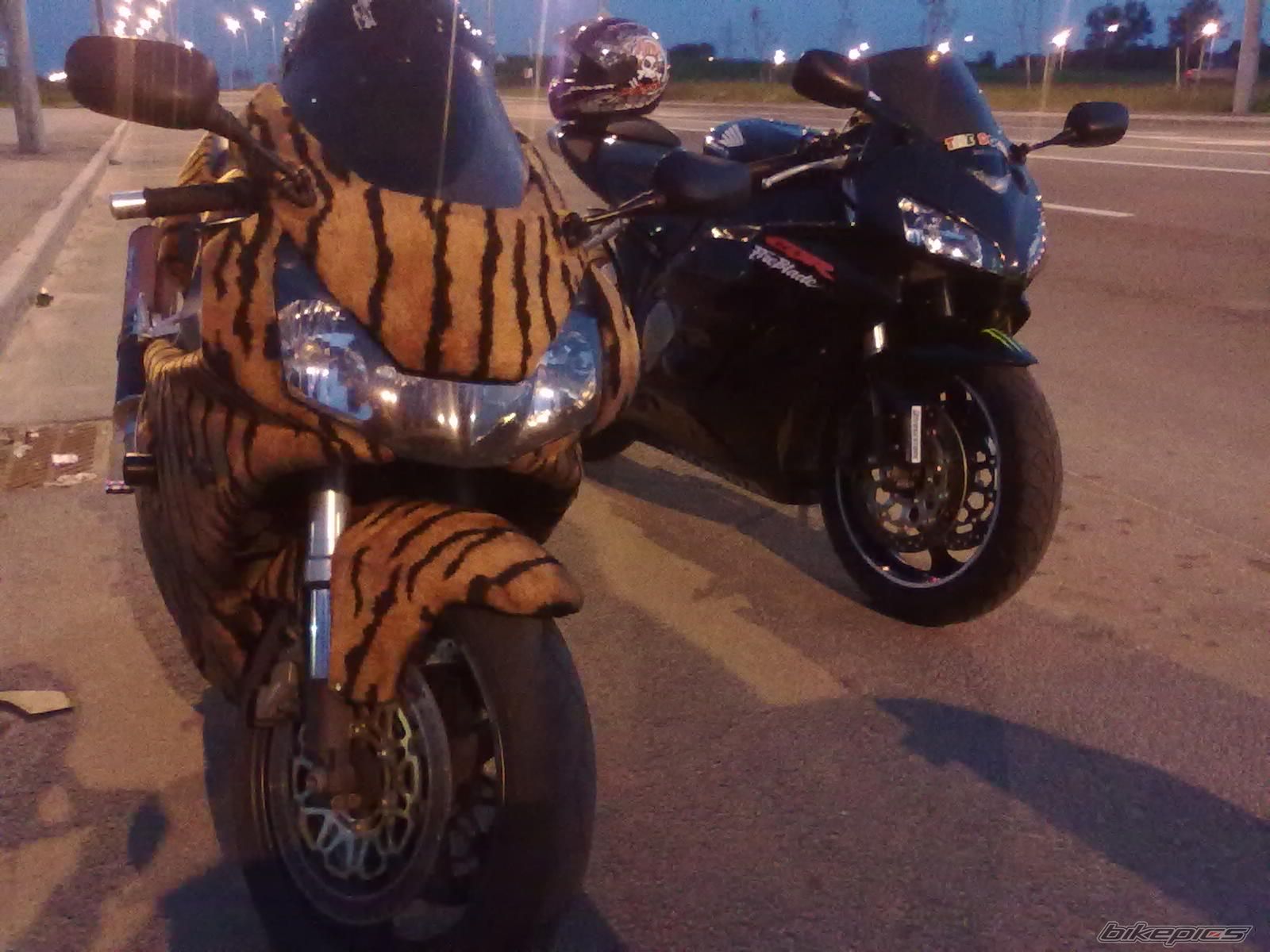 Photo 2487111