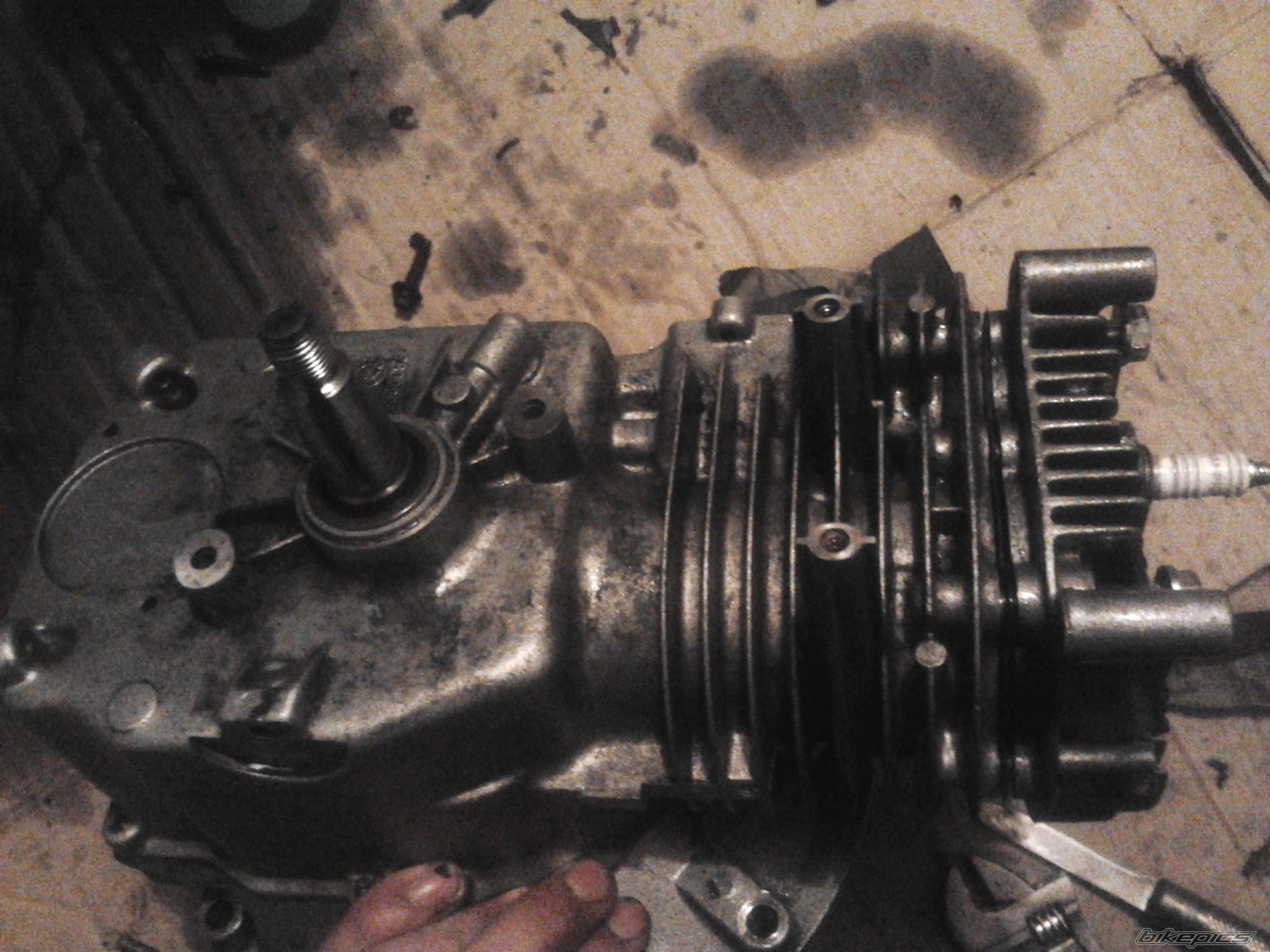 Photo 2487265