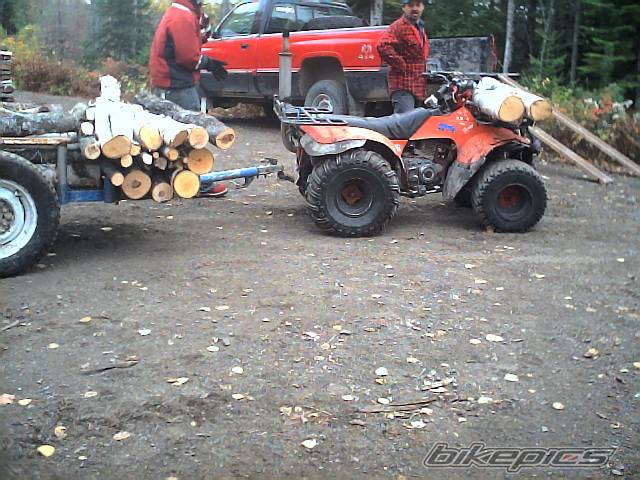 Photo 248729