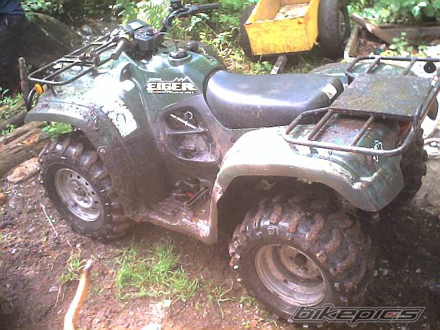 Photo 248730