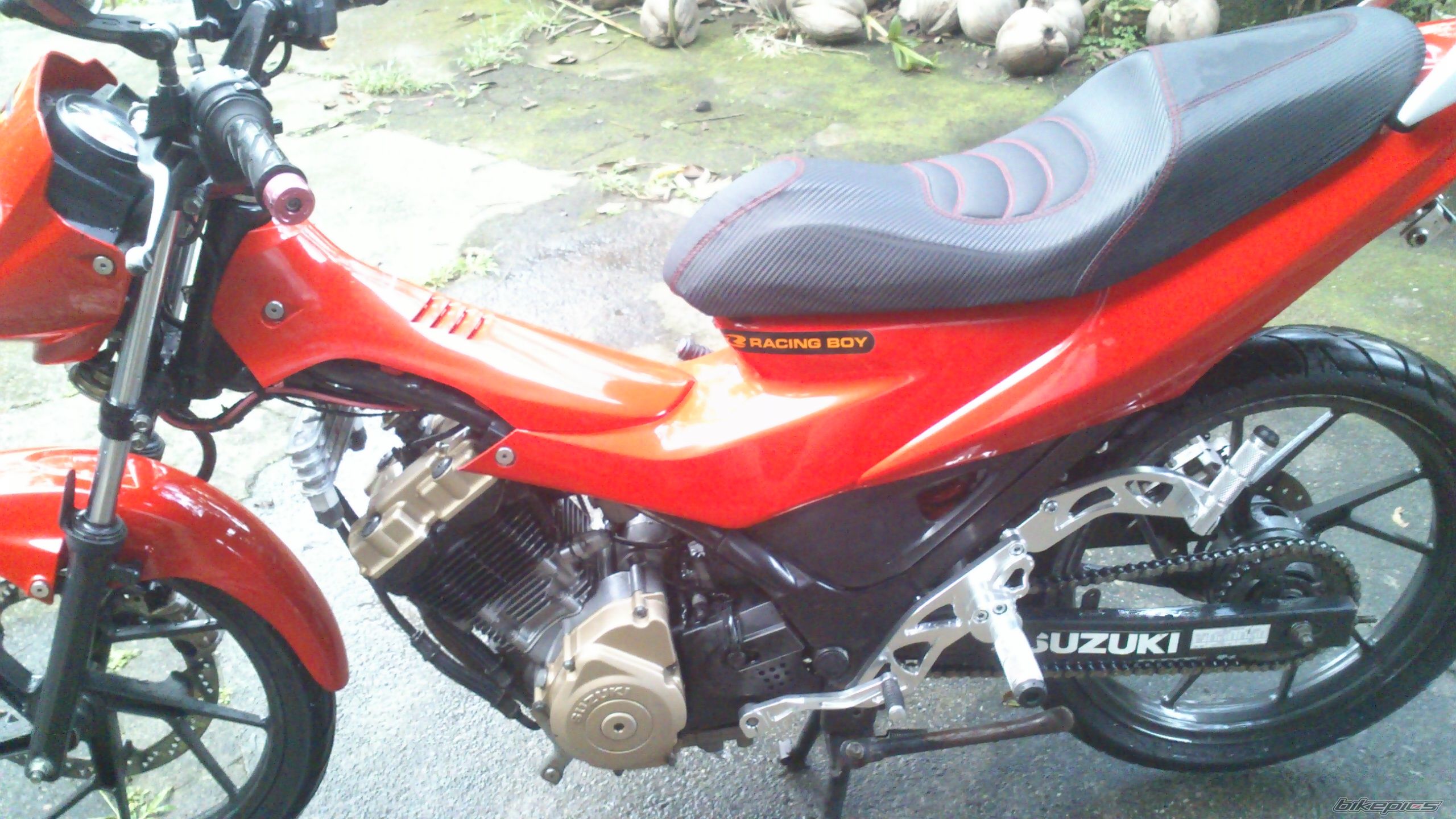 Photo 2487304