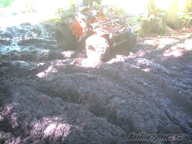 Photo 248731