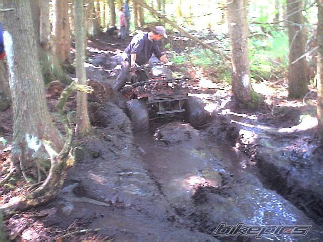 Photo 248732
