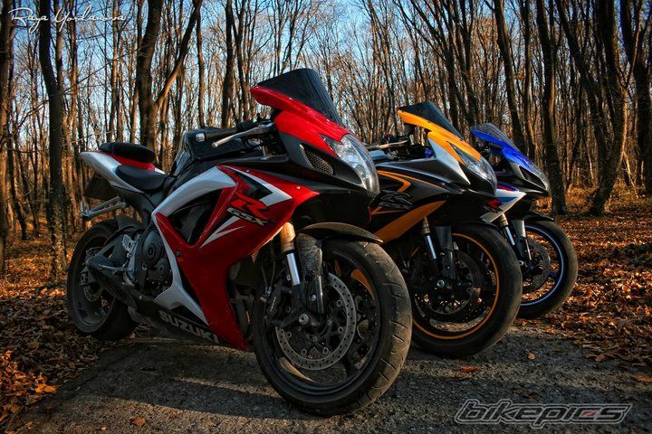 Photo 2487342
